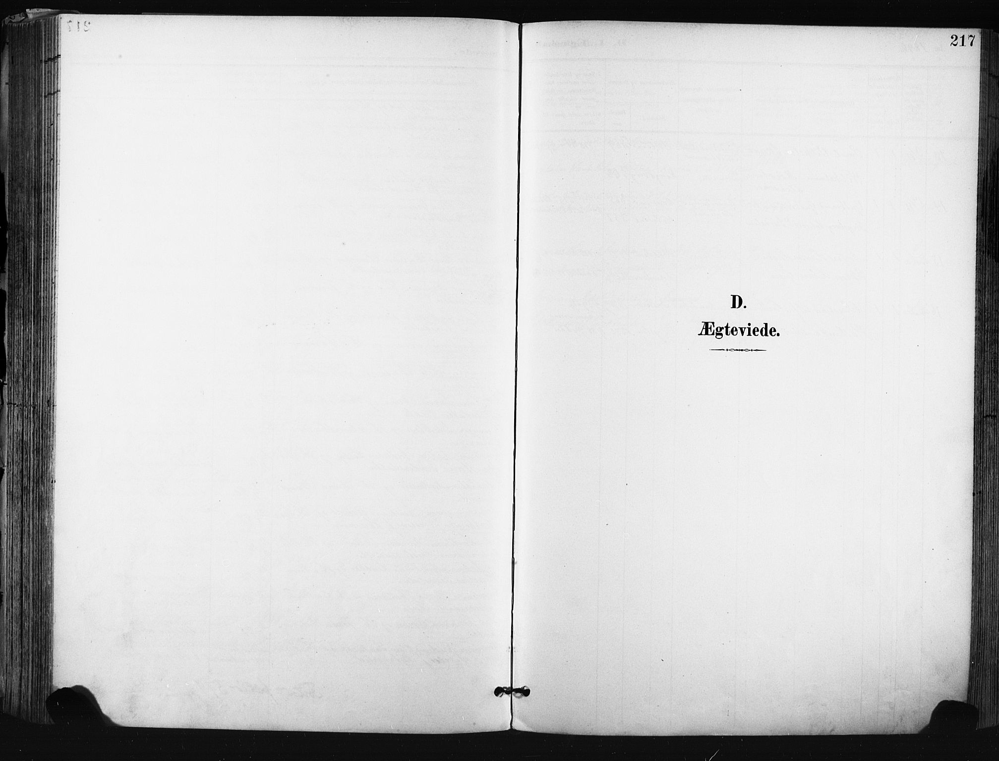 Kongsberg kirkebøker, SAKO/A-22/F/Fb/L0003: Parish register (official) no. II 3, 1896-1905, p. 217