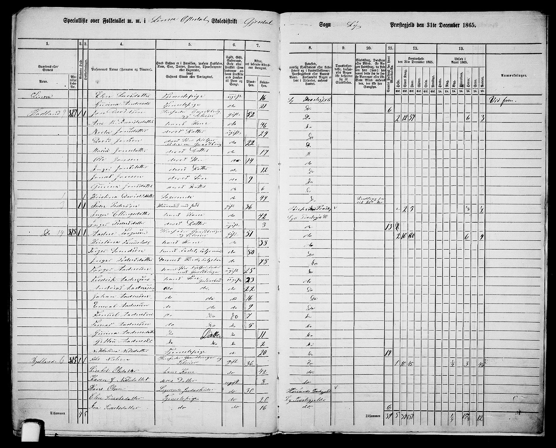 RA, 1865 census for Lye, 1865, p. 153