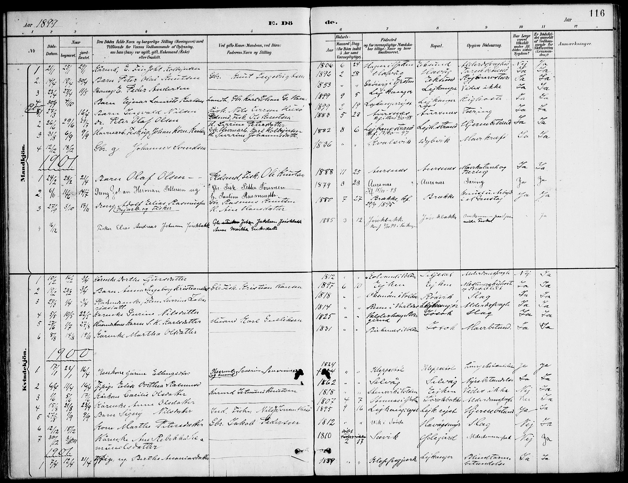 Ministerialprotokoller, klokkerbøker og fødselsregistre - Møre og Romsdal, AV/SAT-A-1454/508/L0095: Parish register (official) no. 508A02, 1887-1920, p. 116