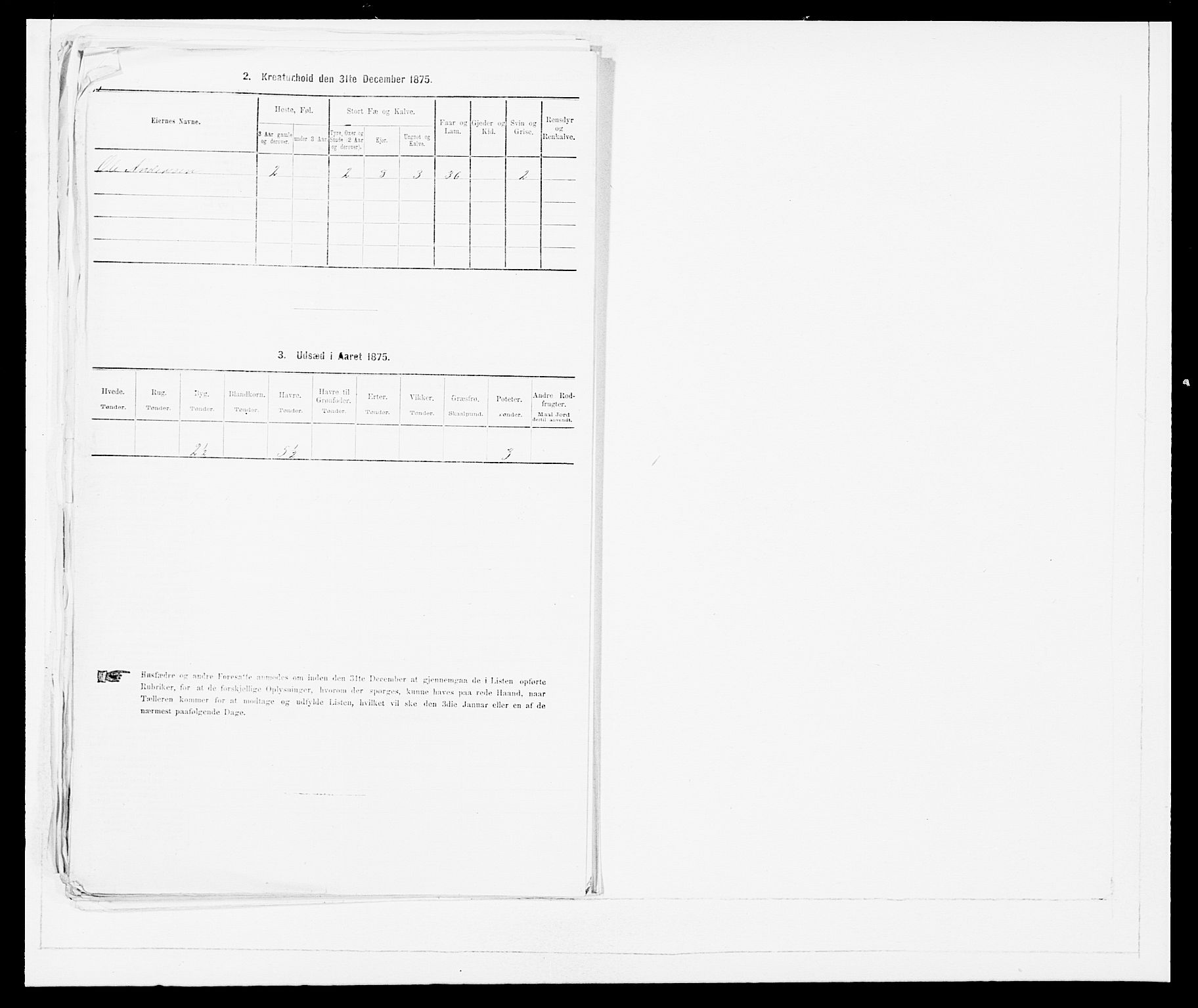 SAB, 1875 Census for 1447P Innvik, 1875, p. 531