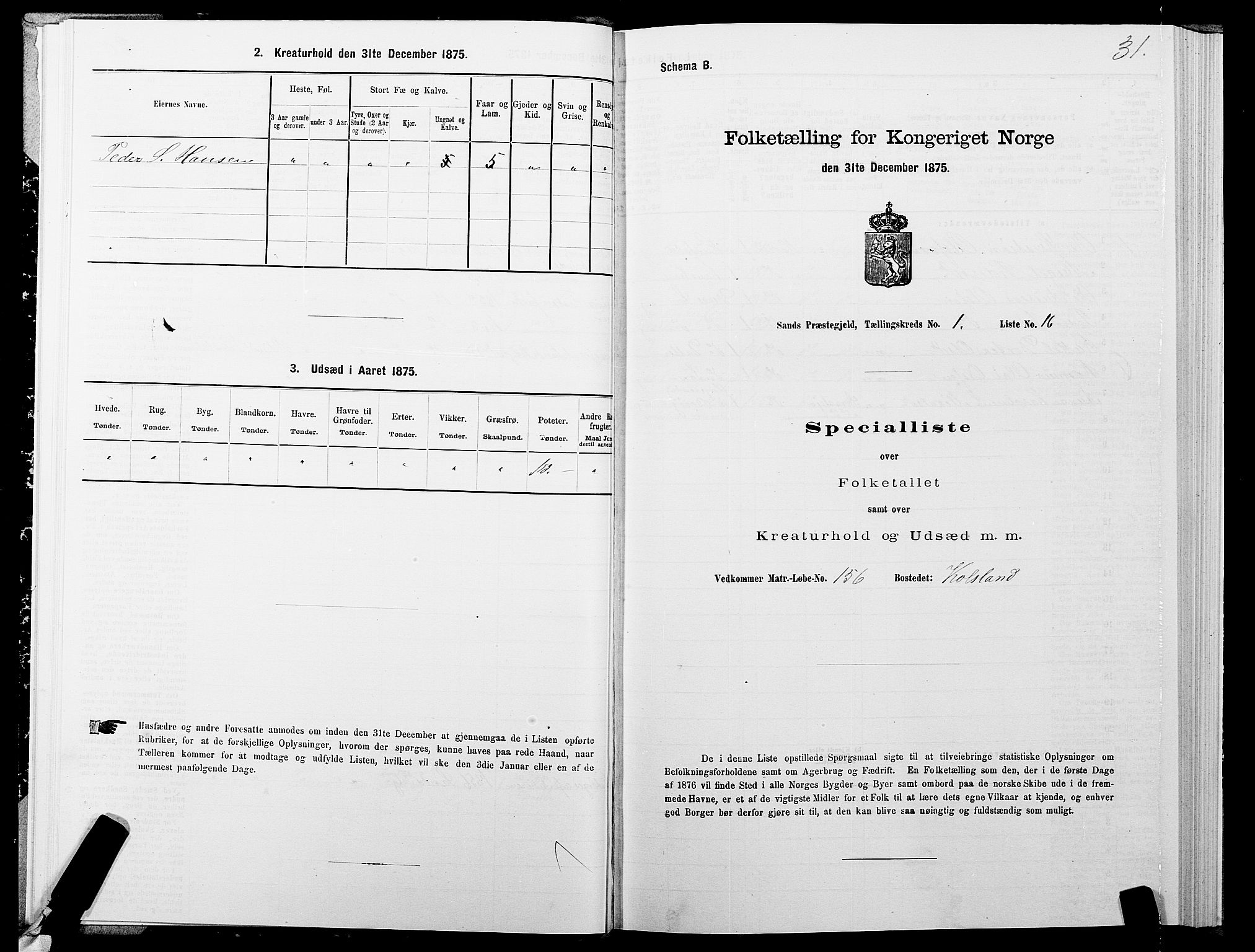 SATØ, 1875 census for 1915P Sand, 1875, p. 1031
