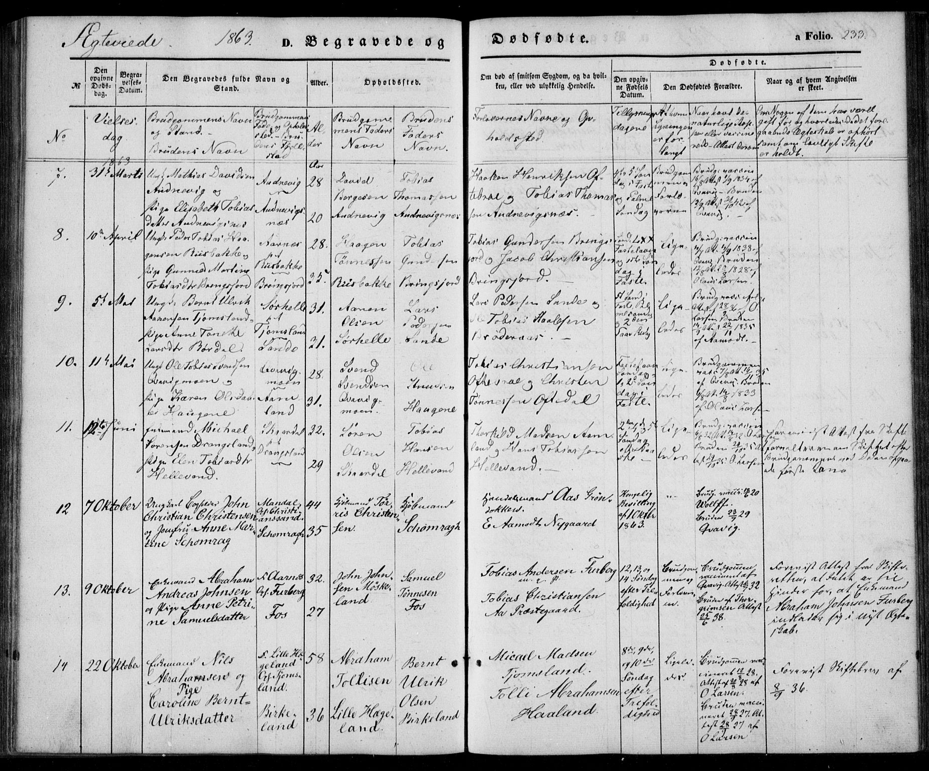 Lyngdal sokneprestkontor, AV/SAK-1111-0029/F/Fa/Fac/L0009: Parish register (official) no. A 9, 1852-1864, p. 233