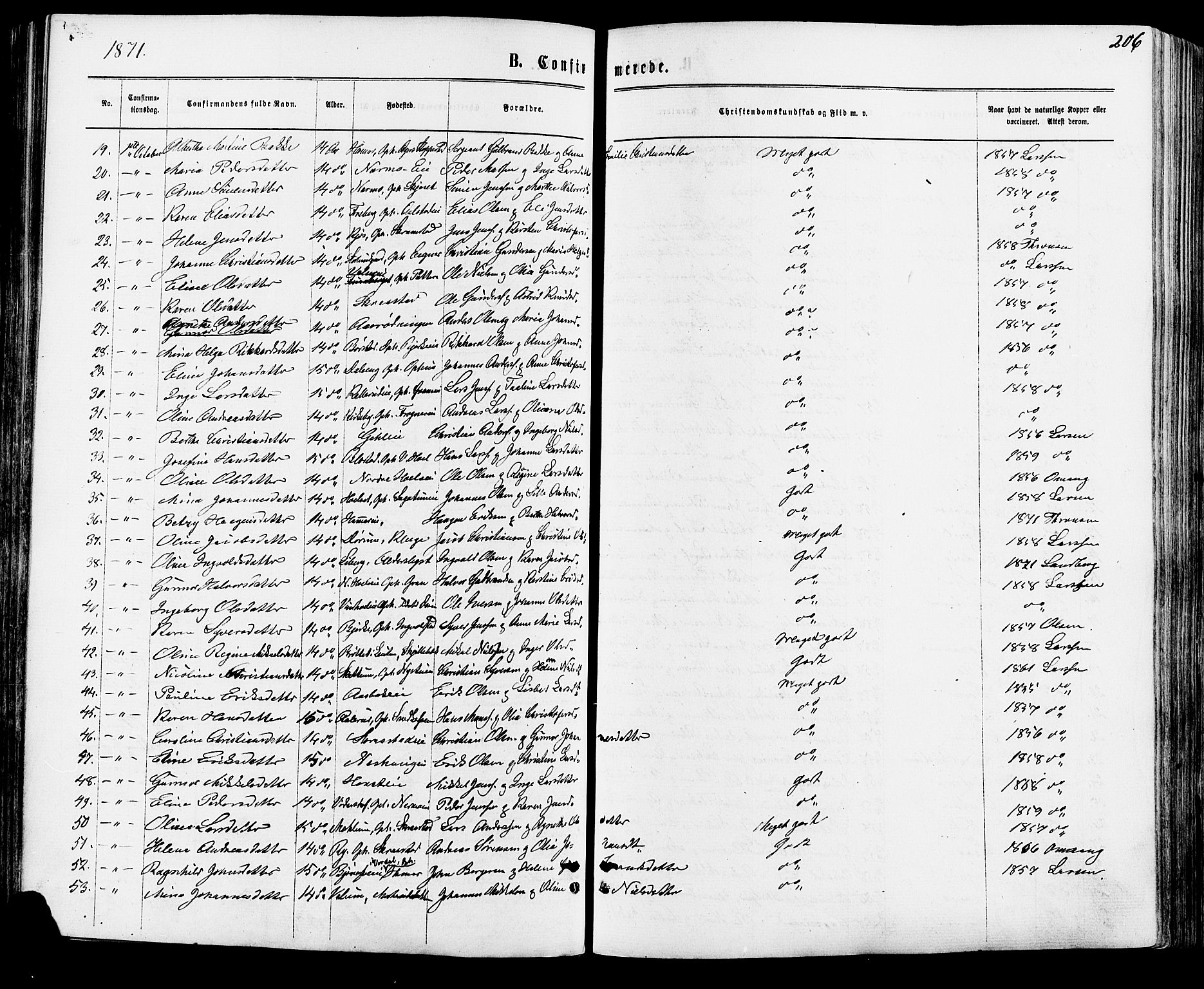 Vang prestekontor, Hedmark, AV/SAH-PREST-008/H/Ha/Haa/L0015: Parish register (official) no. 15, 1871-1885, p. 206