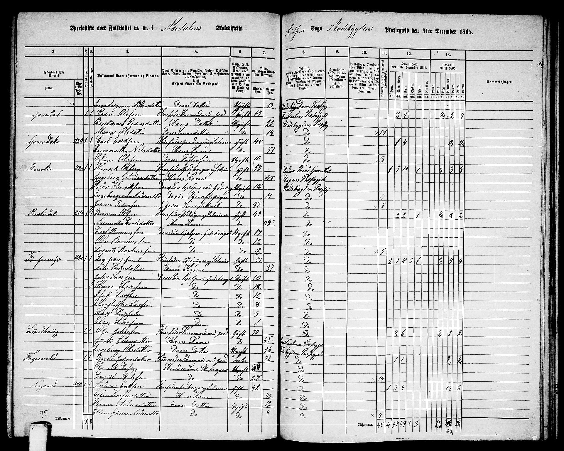 RA, 1865 census for Stadsbygd, 1865, p. 184