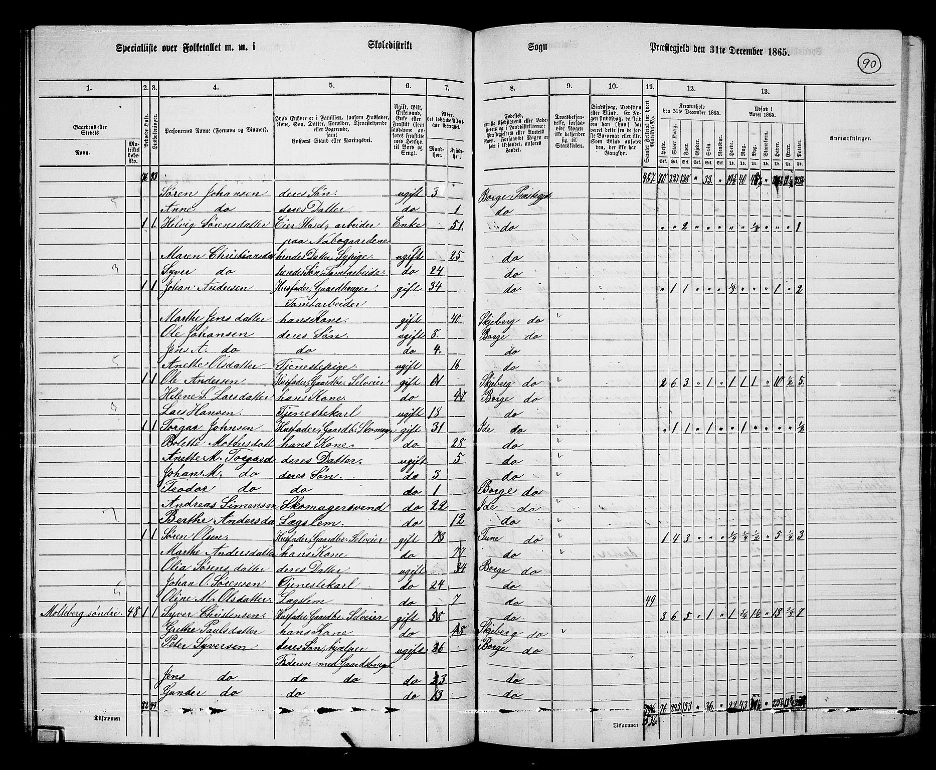 RA, 1865 census for Borge, 1865, p. 85