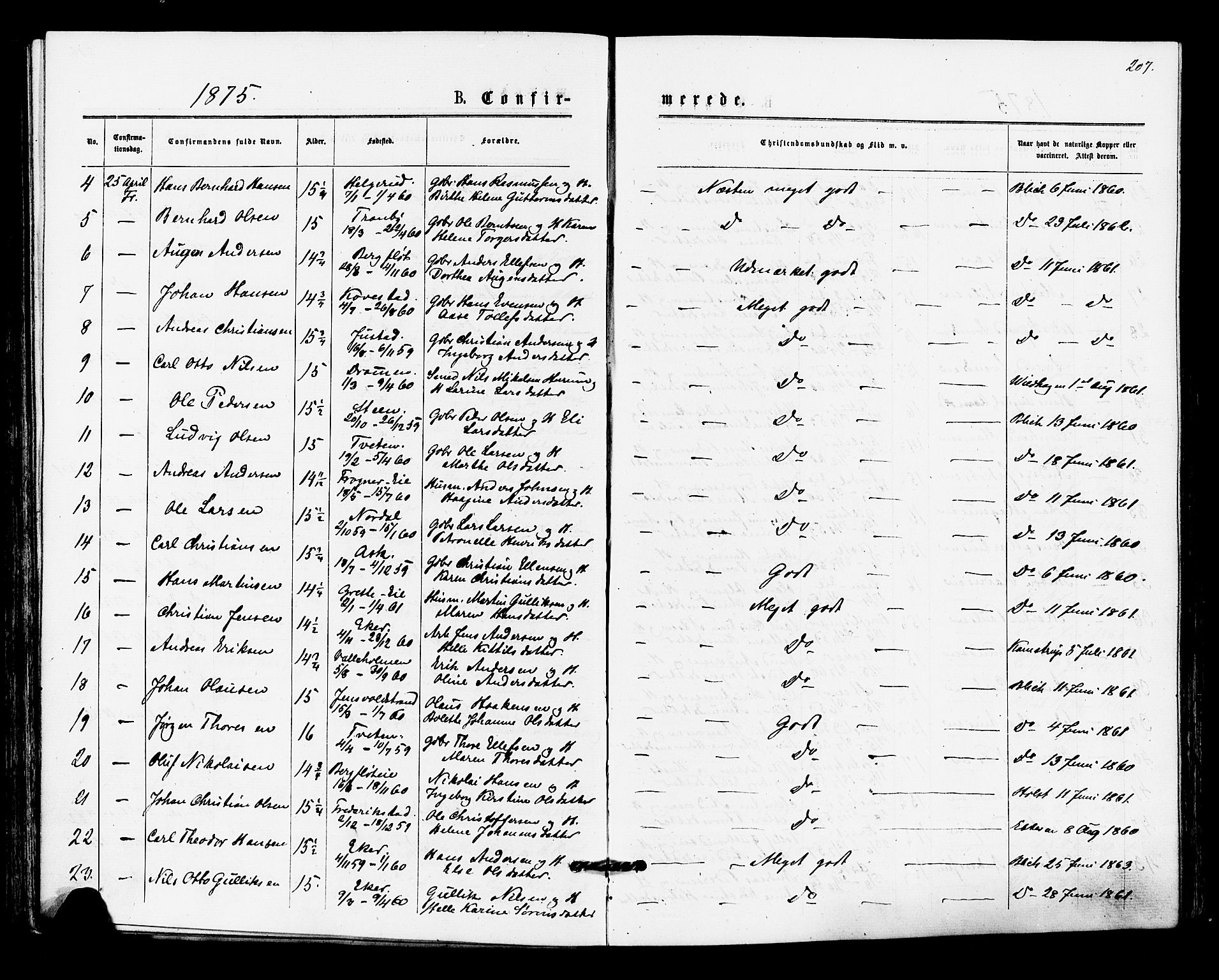 Lier kirkebøker, AV/SAKO-A-230/F/Fa/L0014: Parish register (official) no. I 14, 1875-1882, p. 207