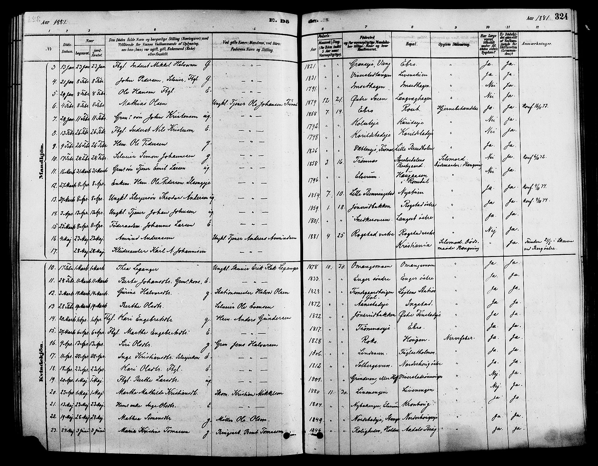 Løten prestekontor, AV/SAH-PREST-022/K/Ka/L0009: Parish register (official) no. 9, 1878-1891, p. 324