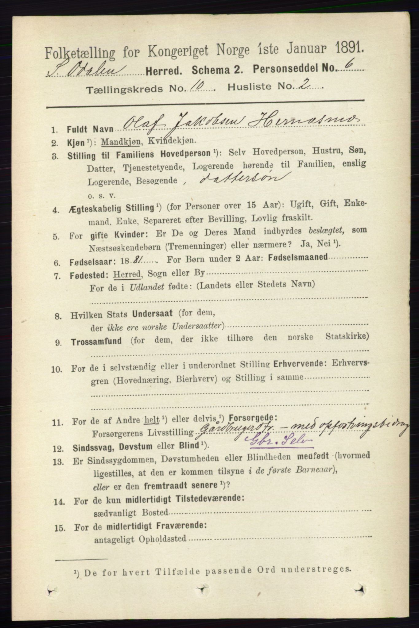 RA, 1891 census for 0419 Sør-Odal, 1891, p. 4373