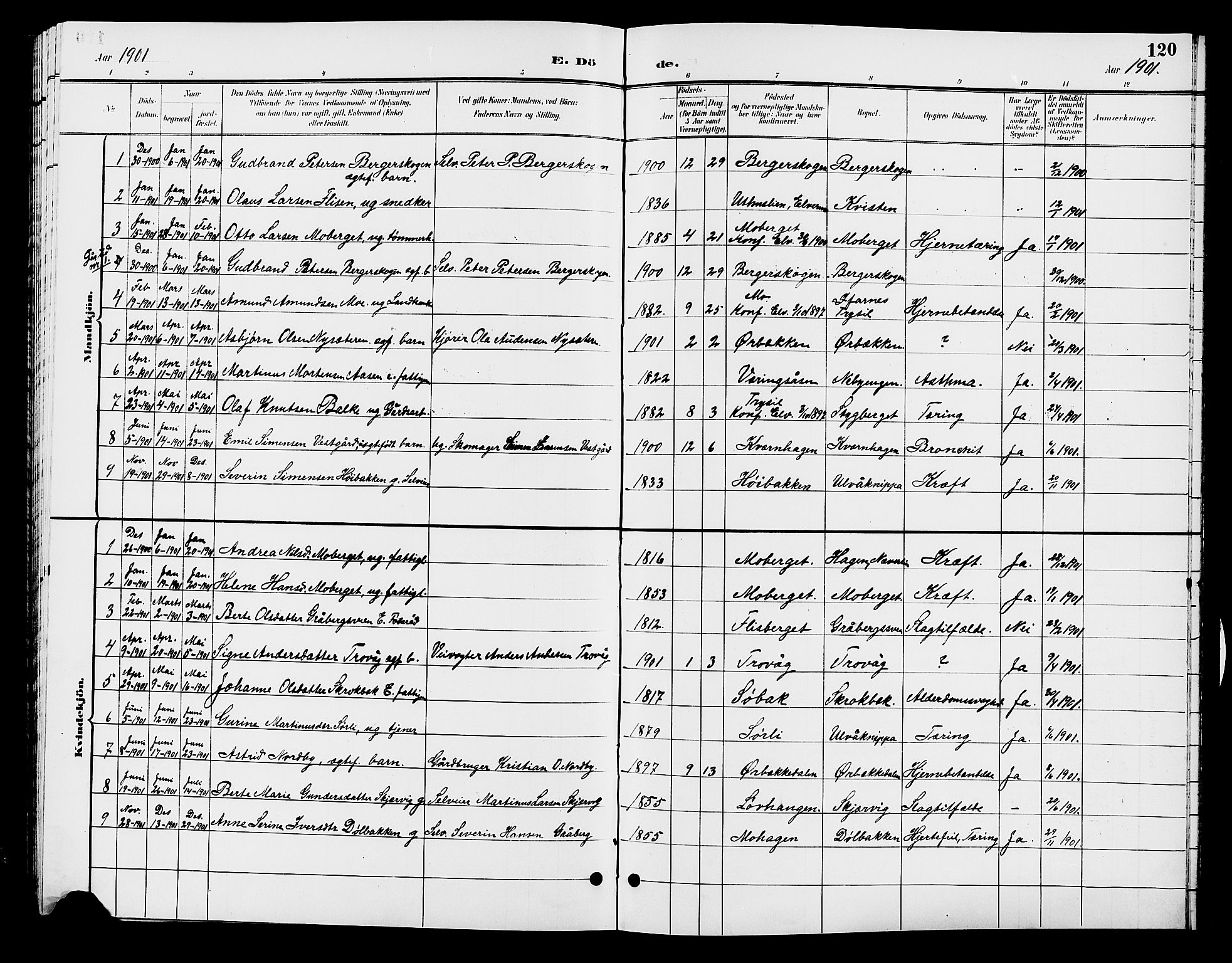 Elverum prestekontor, AV/SAH-PREST-044/H/Ha/Hab/L0007: Parish register (copy) no. 7, 1896-1914, p. 120