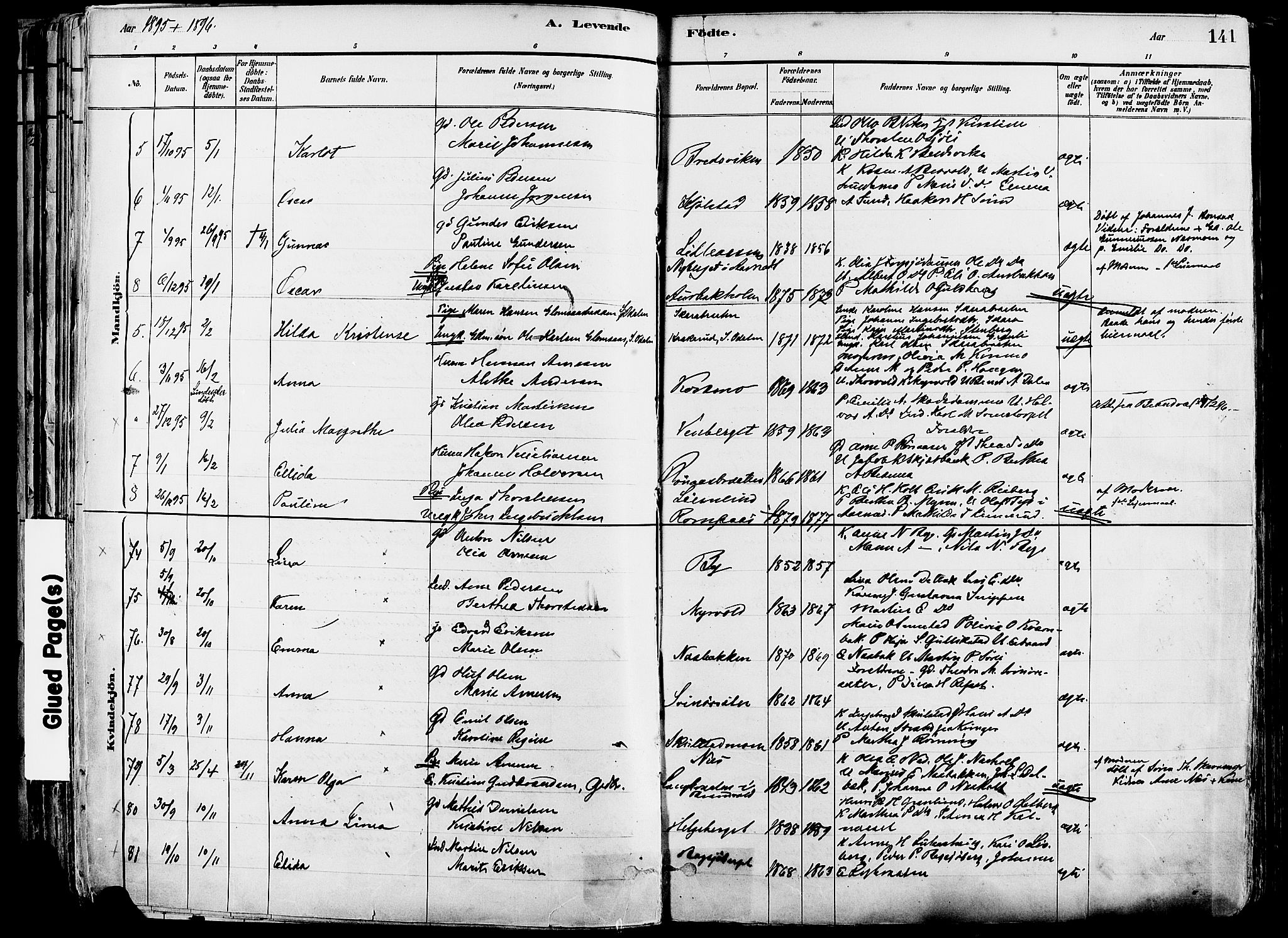 Grue prestekontor, AV/SAH-PREST-036/H/Ha/Haa/L0012: Parish register (official) no. 12, 1881-1897, p. 141