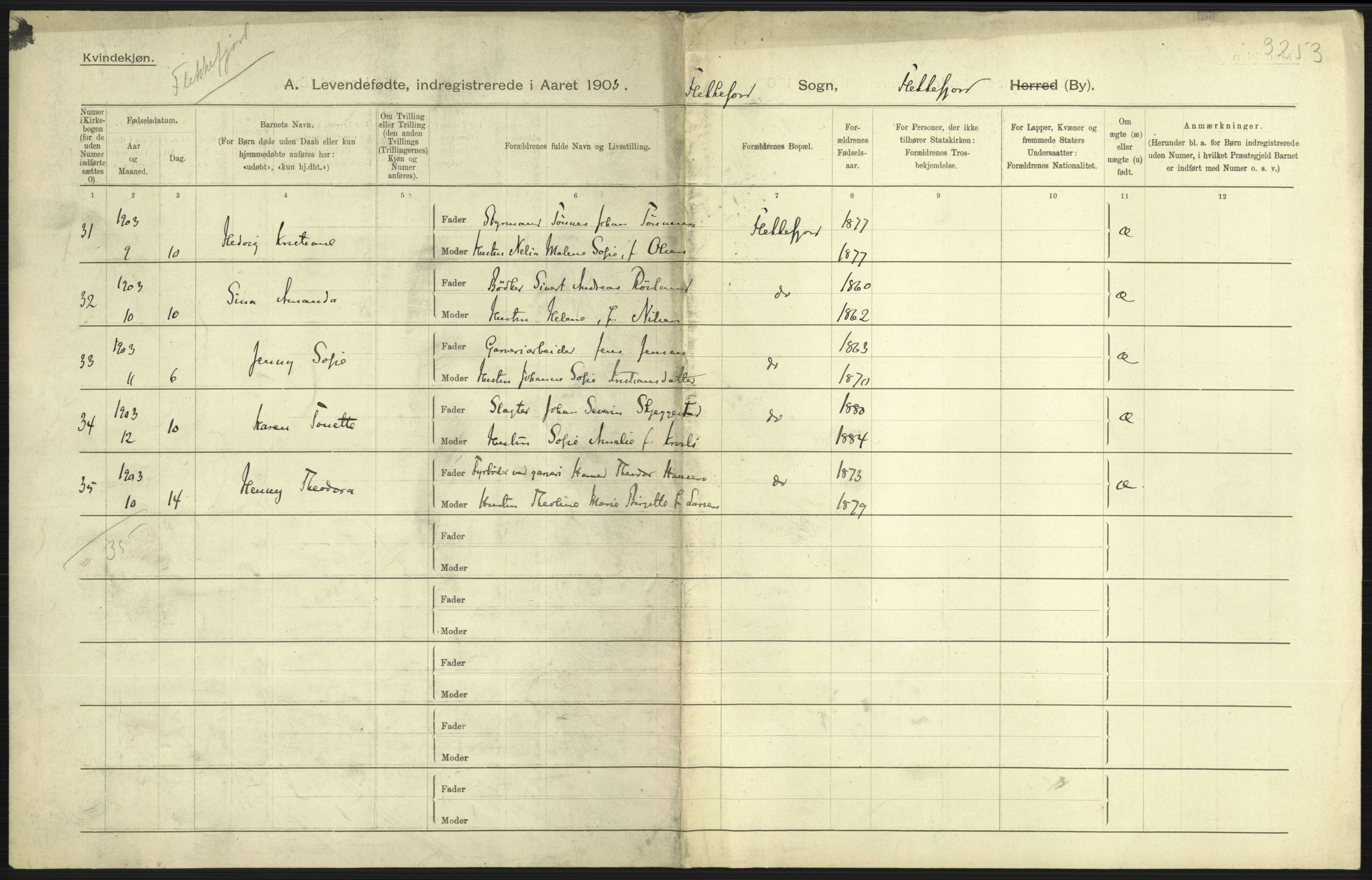 Statistisk sentralbyrå, Sosiodemografiske emner, Befolkning, AV/RA-S-2228/D/Df/Dfa/Dfaa/L0011: Lister og Mandal amt: Fødte, gifte, døde, 1903, p. 221