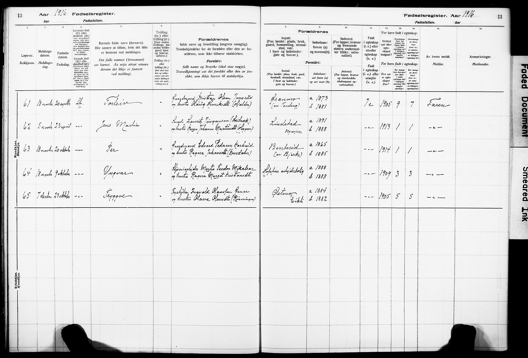 Norderhov kirkebøker, AV/SAKO-A-237/J/Ja/L0001: Birth register no. 1, 1916-1930, p. 13