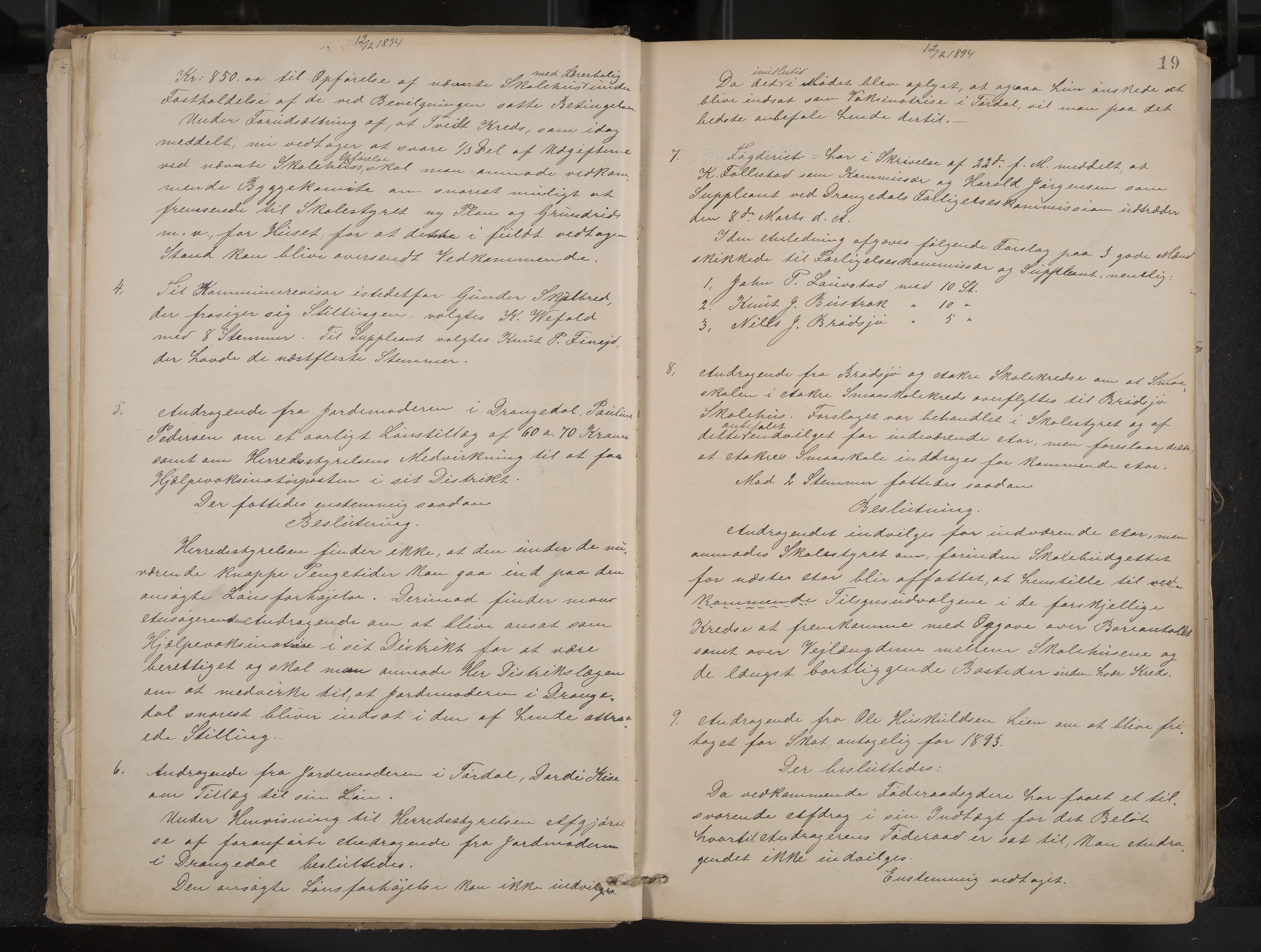 Drangedal formannskap og sentraladministrasjon, IKAK/0817021/A/L0003: Møtebok, 1893-1906, p. 19