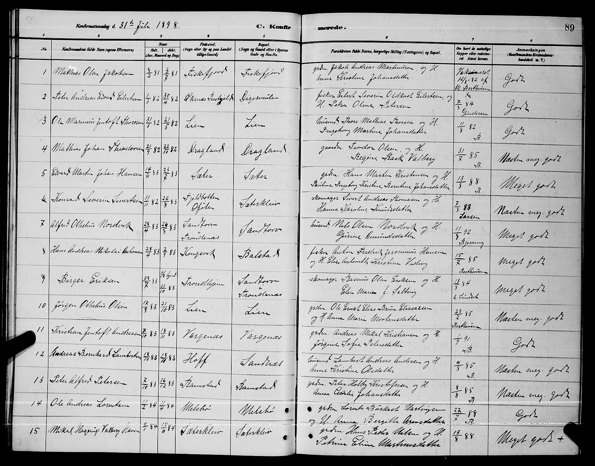 Ministerialprotokoller, klokkerbøker og fødselsregistre - Nordland, AV/SAT-A-1459/865/L0931: Parish register (copy) no. 865C03, 1885-1901, p. 89