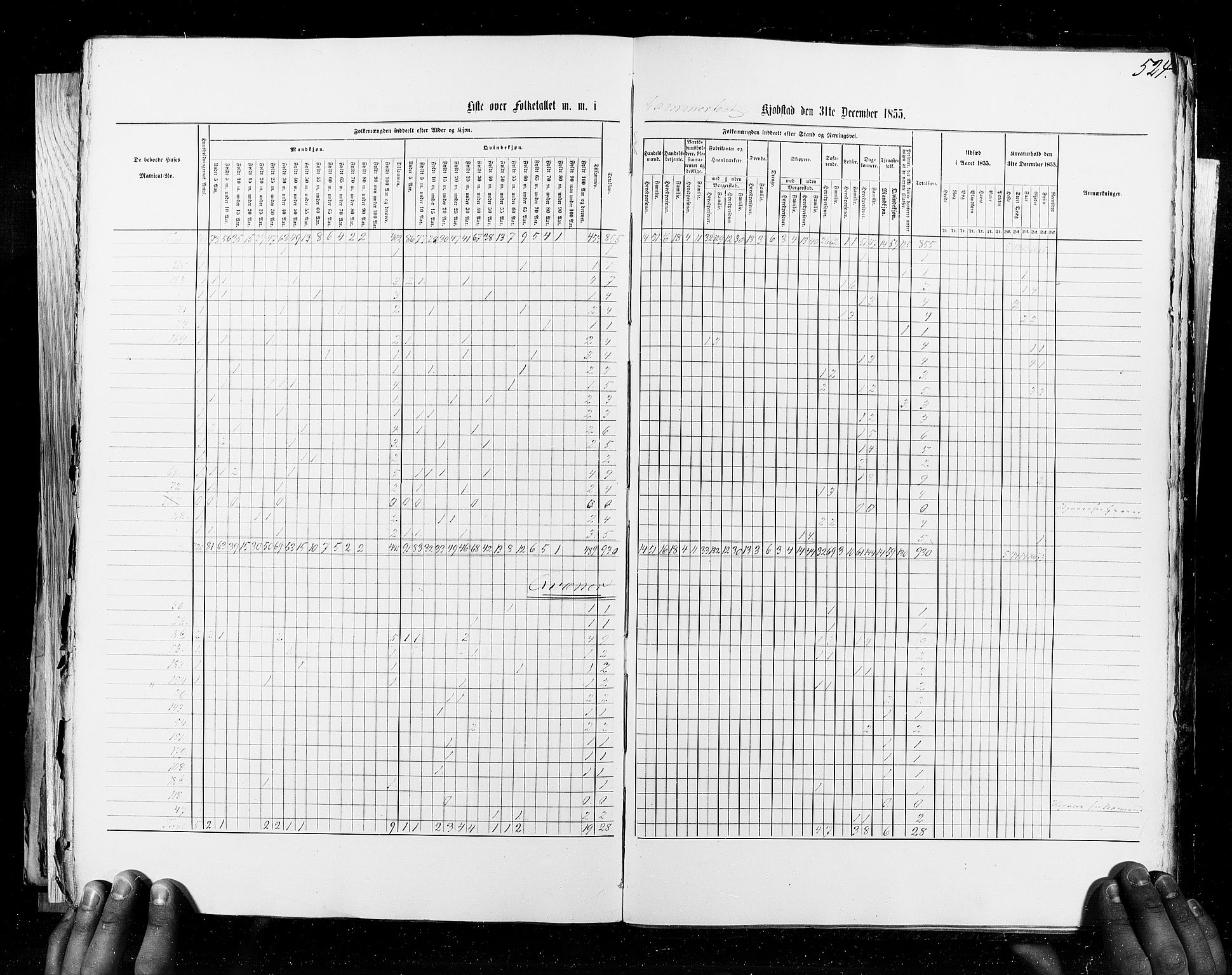 RA, Census 1855, vol. 8: Risør-Vadsø, 1855, p. 524