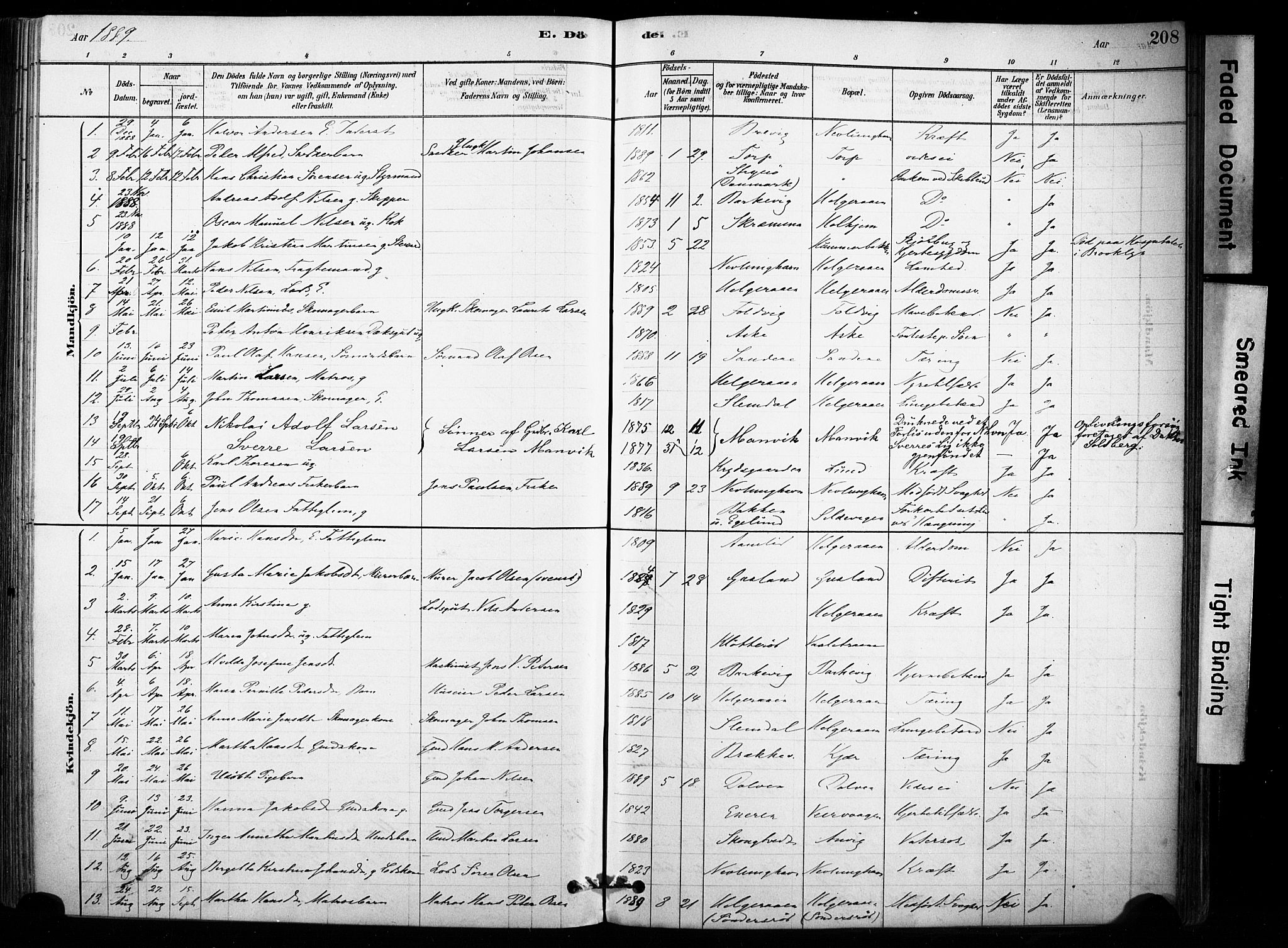 Brunlanes kirkebøker, AV/SAKO-A-342/F/Fb/L0001: Parish register (official) no. II 1, 1878-1899, p. 208