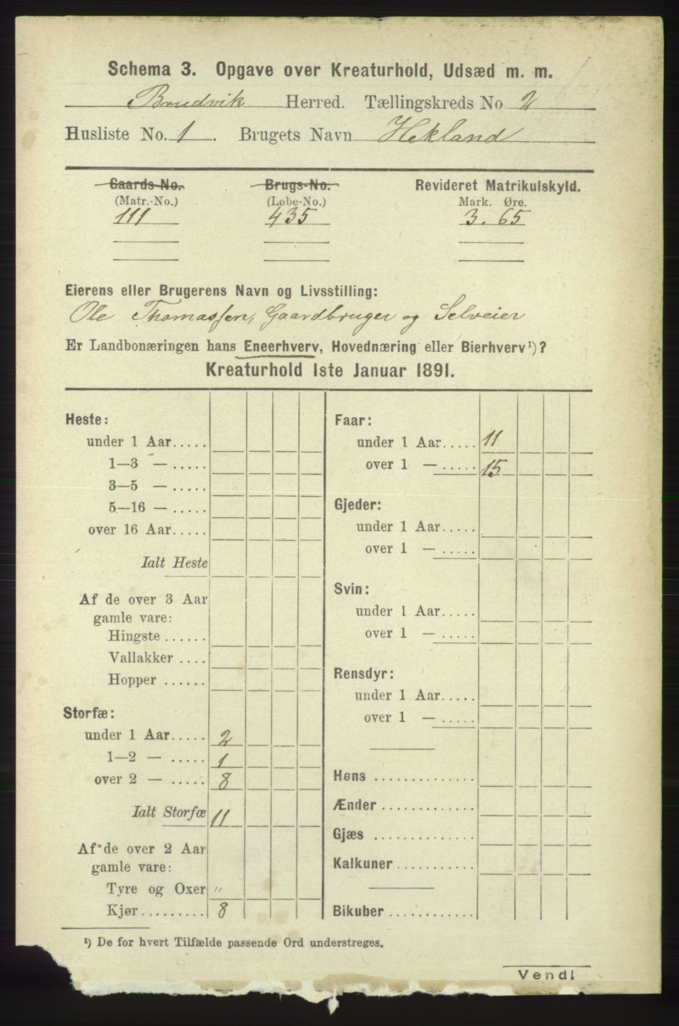 RA, 1891 census for 1251 Bruvik, 1891, p. 4232