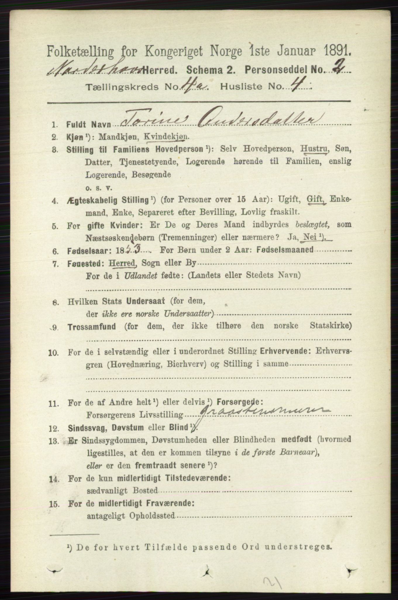 RA, 1891 census for 0613 Norderhov, 1891, p. 1738