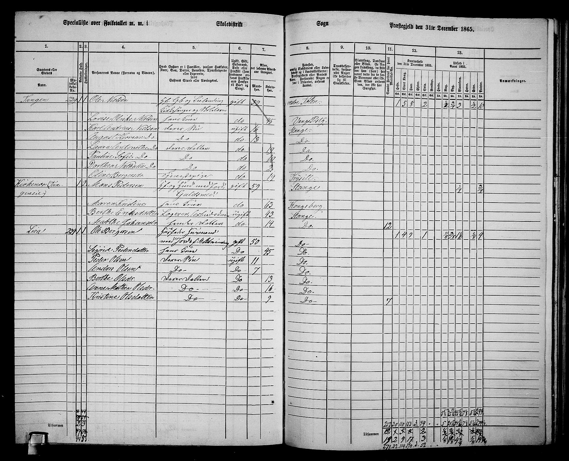 RA, 1865 census for Stange, 1865, p. 243