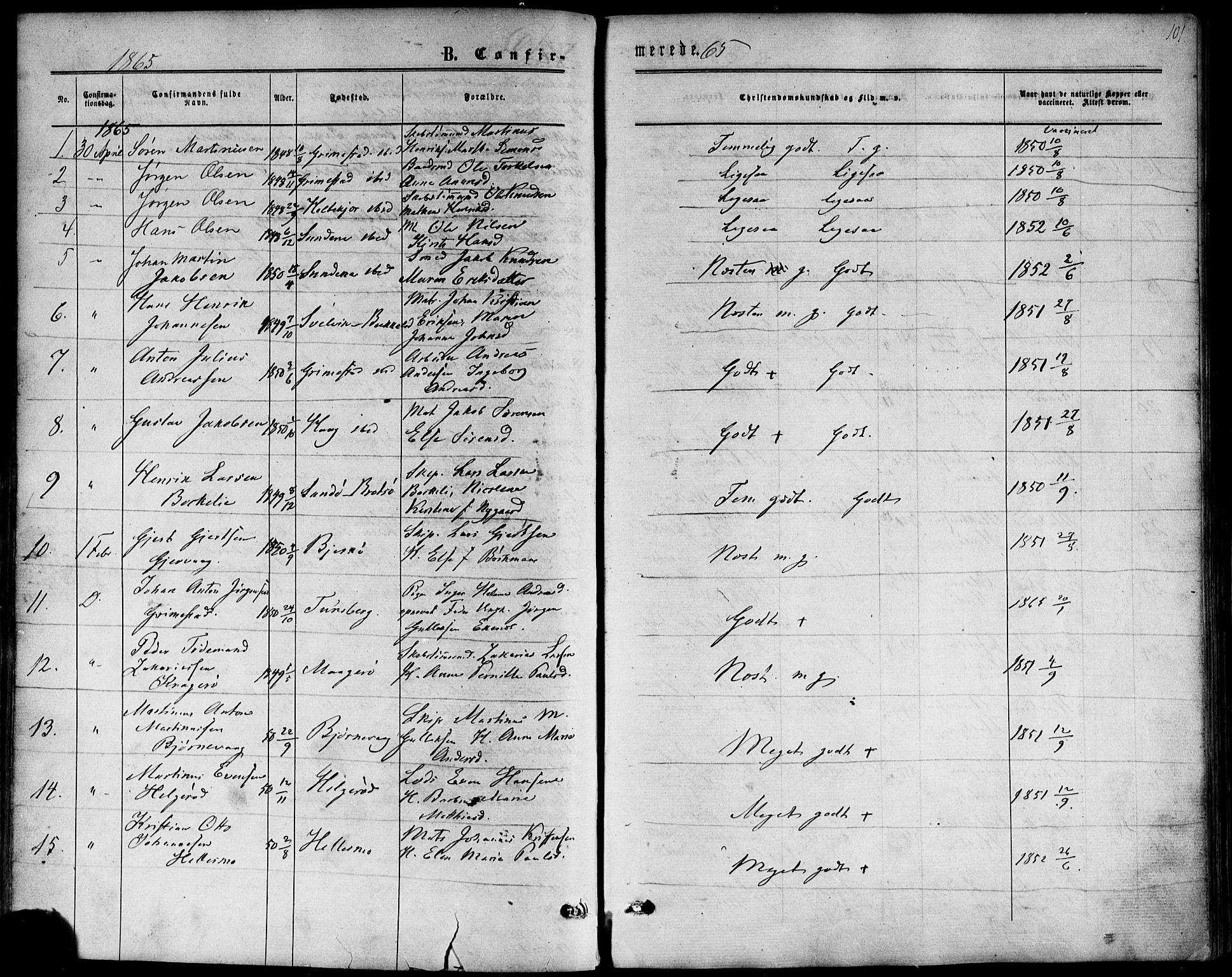 Nøtterøy kirkebøker, SAKO/A-354/F/Fb/L0001: Parish register (official) no. II 1, 1865-1878, p. 101