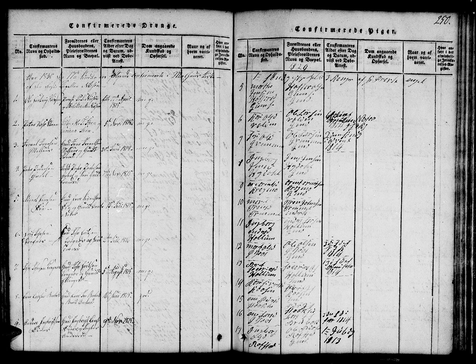 Ministerialprotokoller, klokkerbøker og fødselsregistre - Sør-Trøndelag, SAT/A-1456/691/L1092: Parish register (copy) no. 691C03, 1816-1852, p. 250