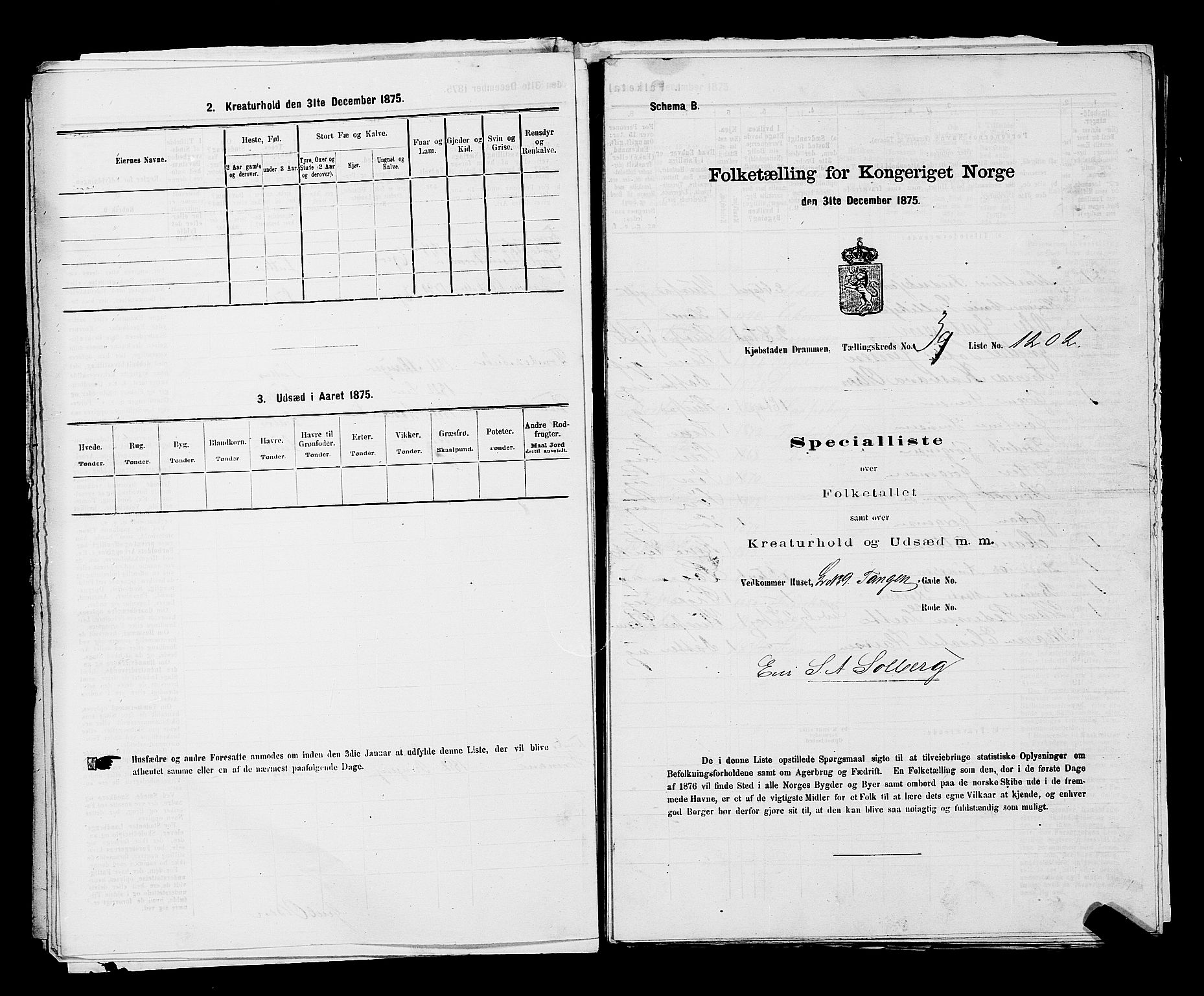 SAKO, 1875 census for 0602 Drammen, 1875, p. 3323