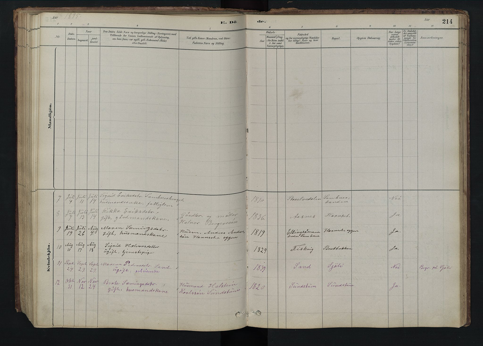 Rendalen prestekontor, SAH/PREST-054/H/Ha/Hab/L0009: Parish register (copy) no. 9, 1879-1902, p. 214