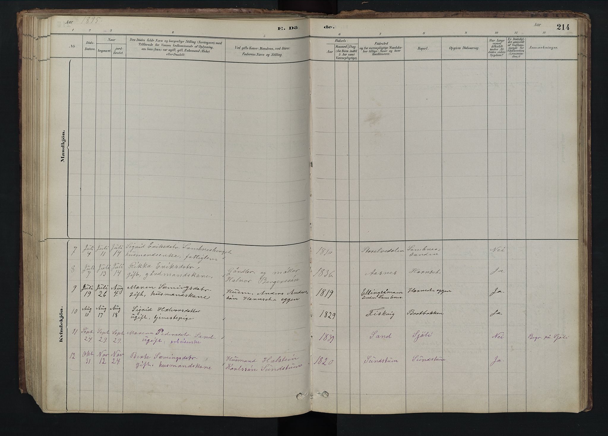 Rendalen prestekontor, AV/SAH-PREST-054/H/Ha/Hab/L0009: Parish register (copy) no. 9, 1879-1902, p. 214