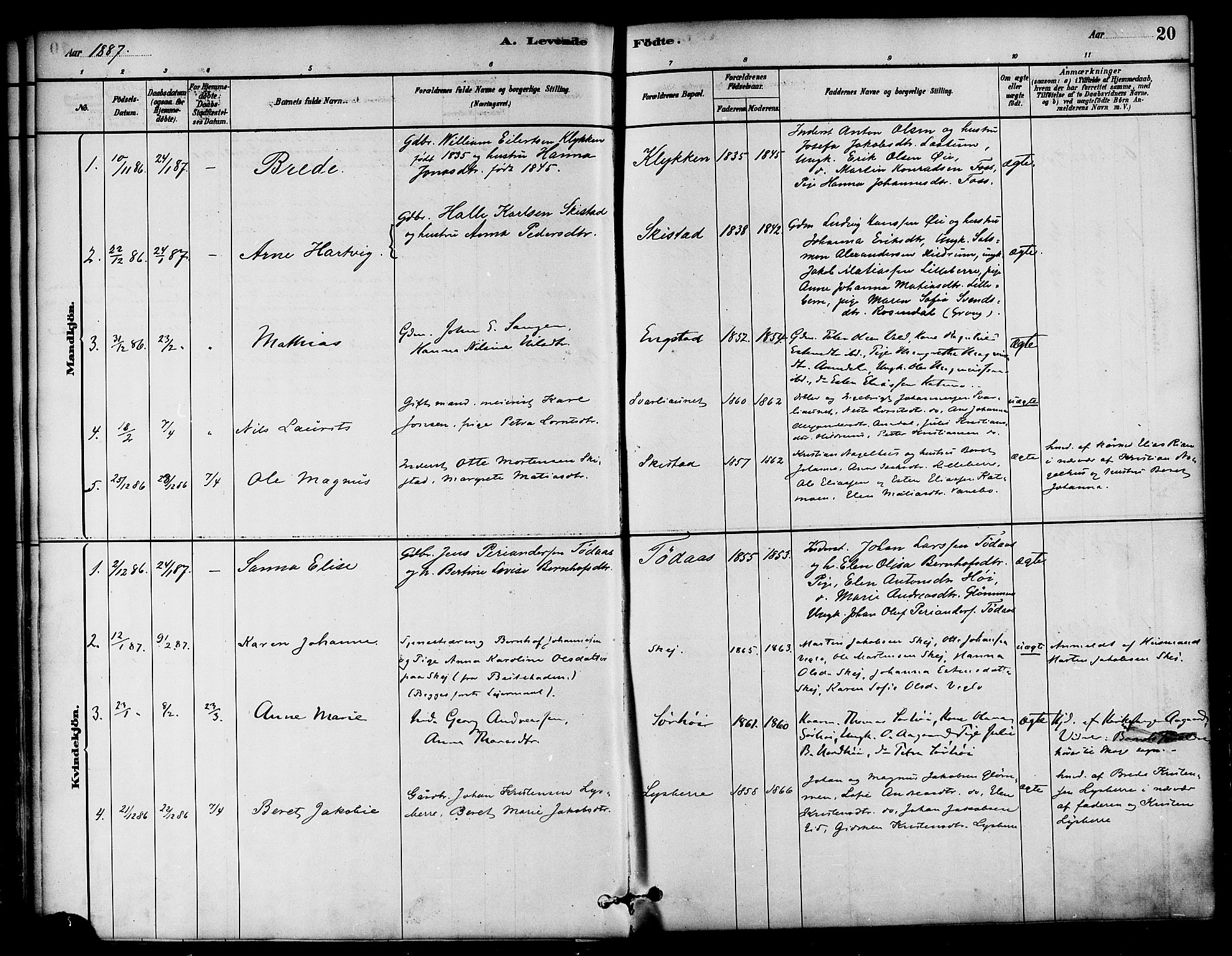 Ministerialprotokoller, klokkerbøker og fødselsregistre - Nord-Trøndelag, SAT/A-1458/764/L0555: Parish register (official) no. 764A10, 1881-1896, p. 20