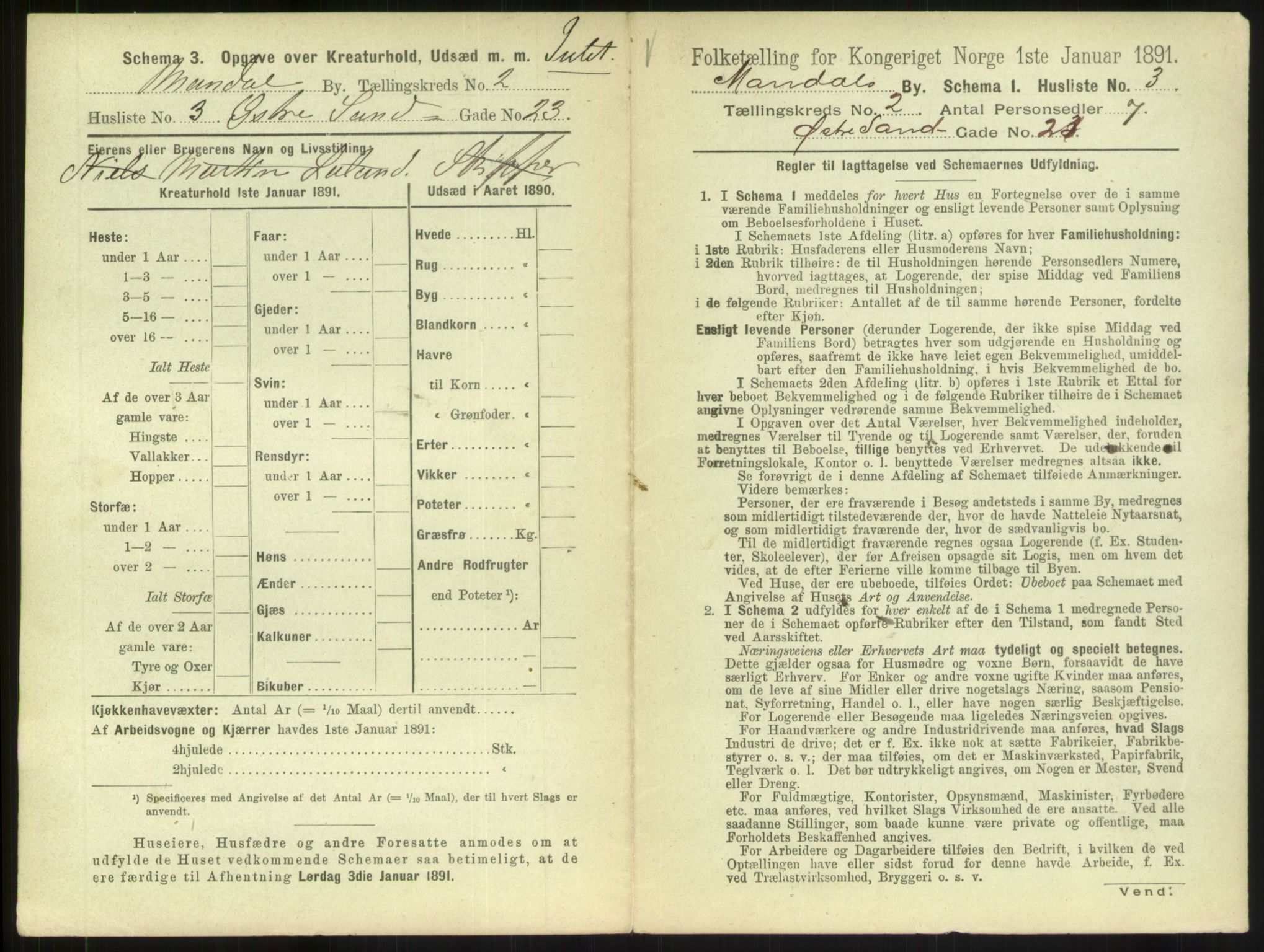 RA, 1891 census for 1002 Mandal, 1891, p. 119