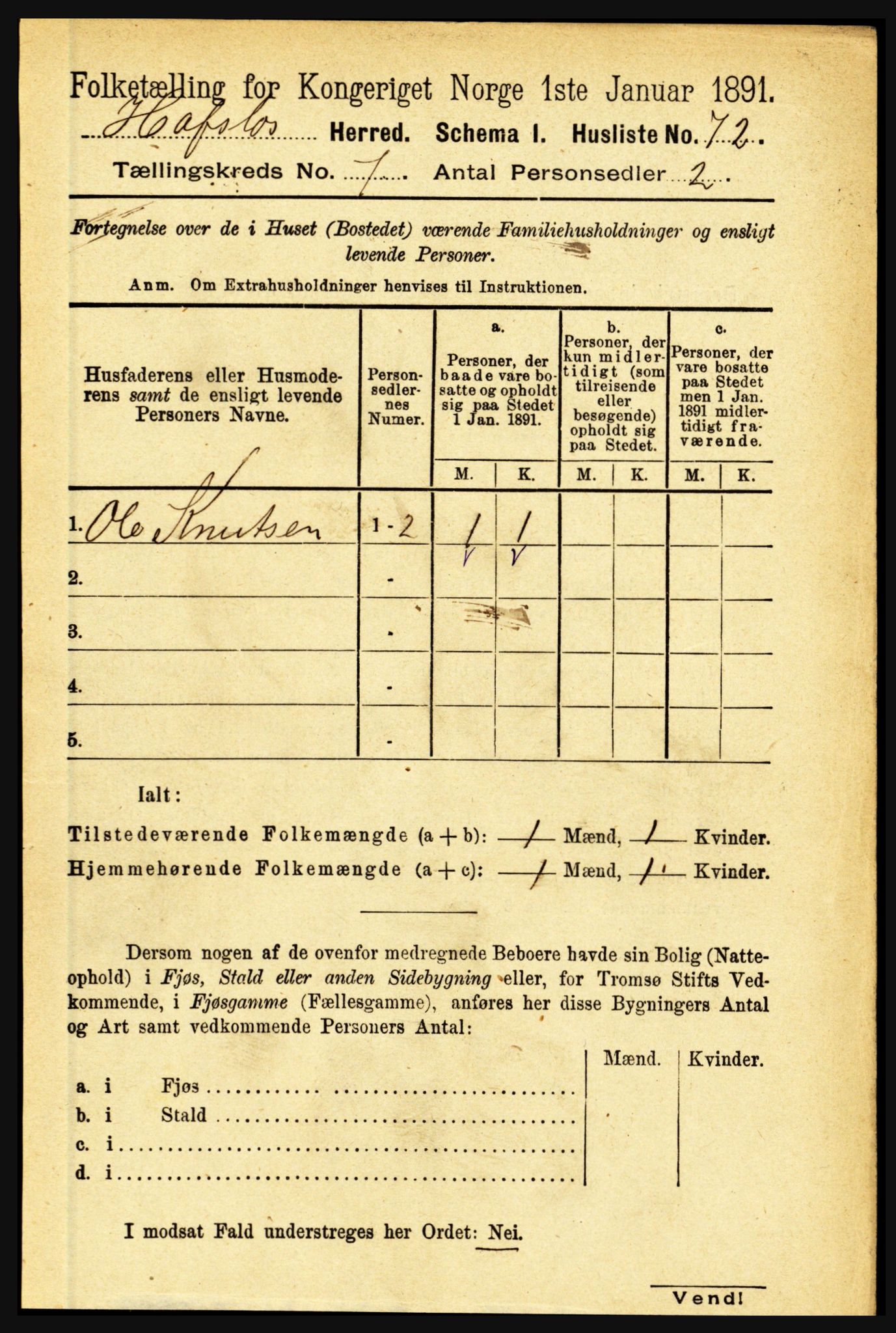 RA, 1891 census for 1425 Hafslo, 1891, p. 2742