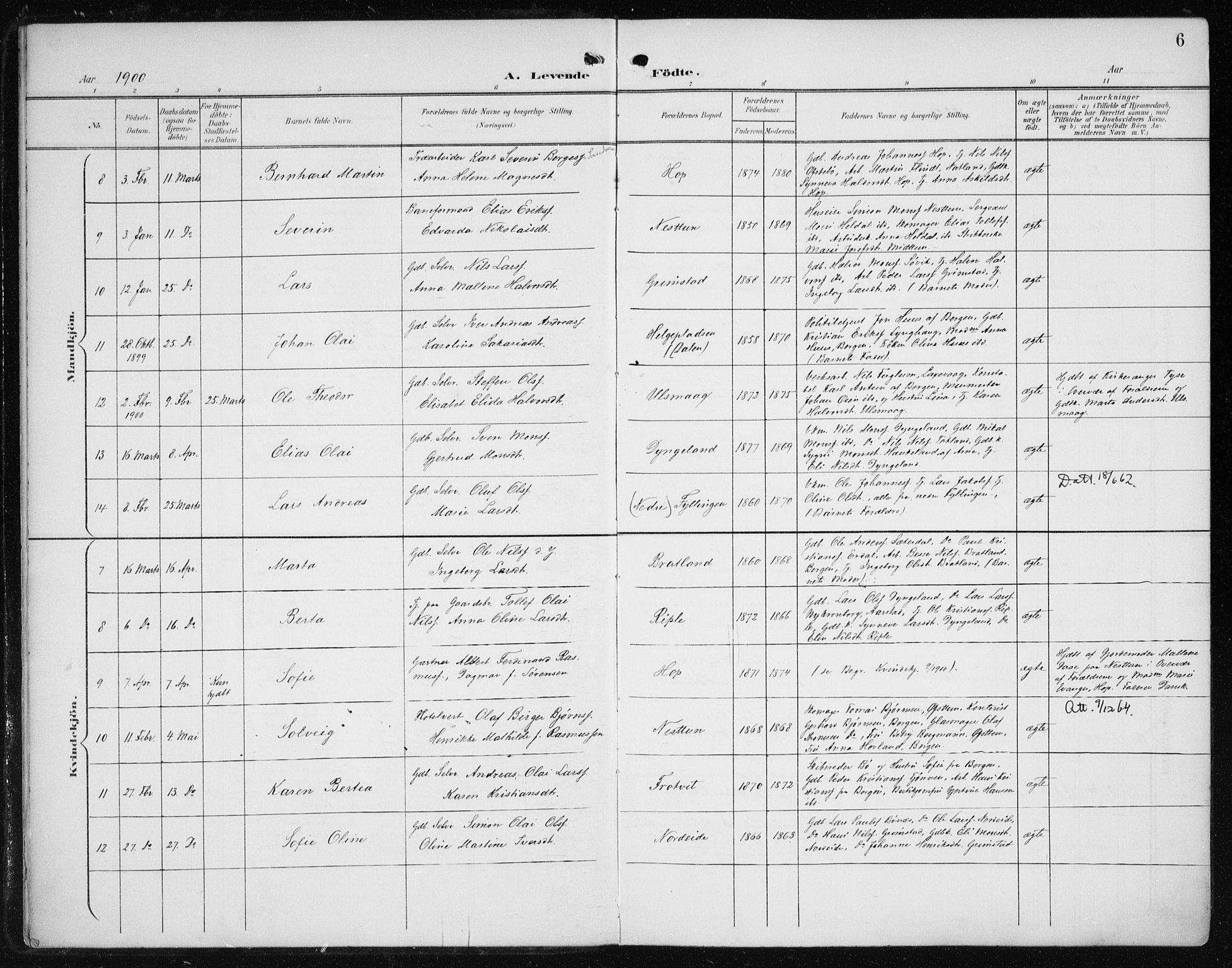 Fana Sokneprestembete, SAB/A-75101/H/Haa/Haai/L0003: Parish register (official) no. I 3, 1900-1912, p. 6