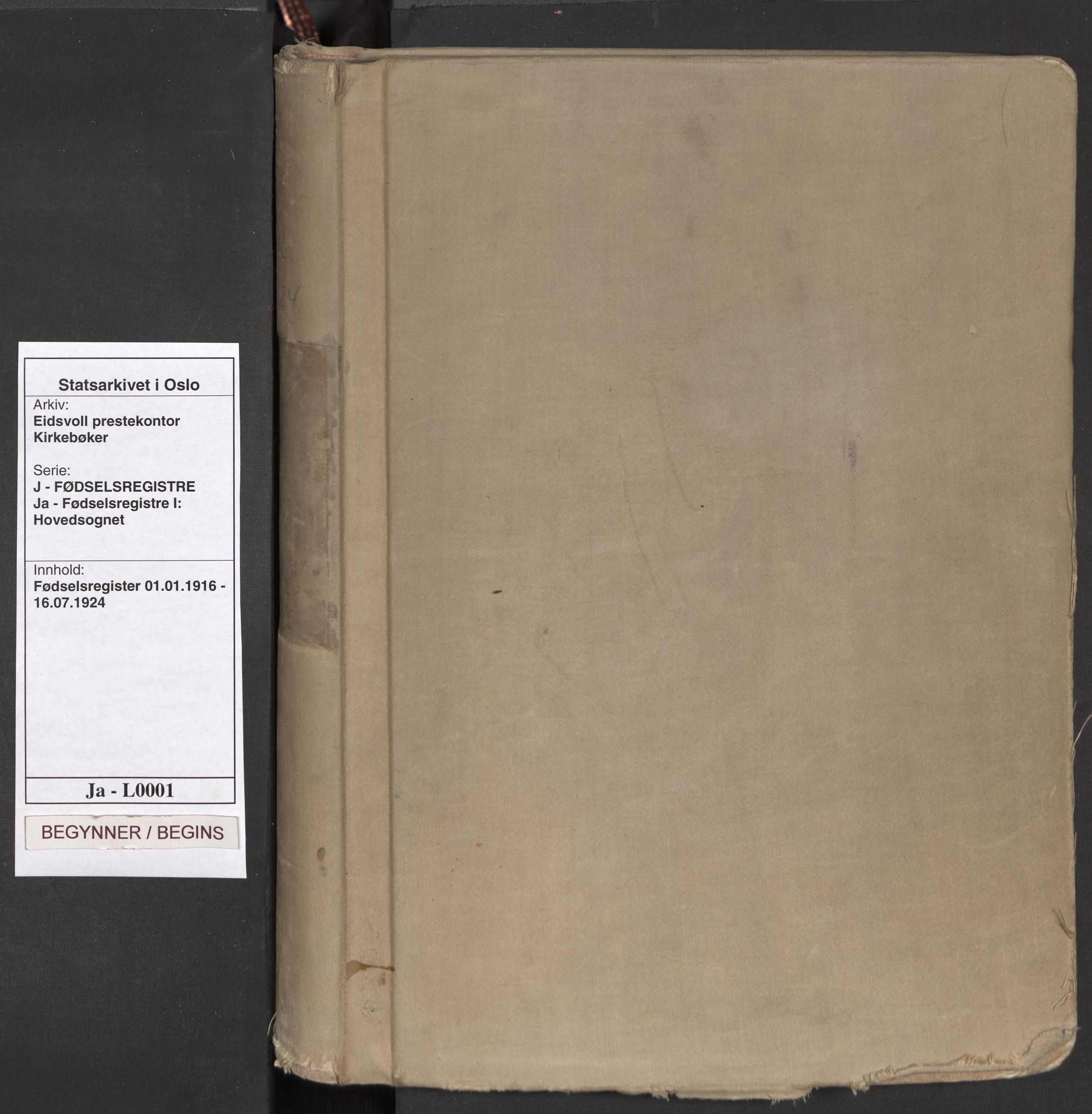 Eidsvoll prestekontor Kirkebøker, AV/SAO-A-10888/J/Ja/L0001: Birth register no. I 1, 1916-1924