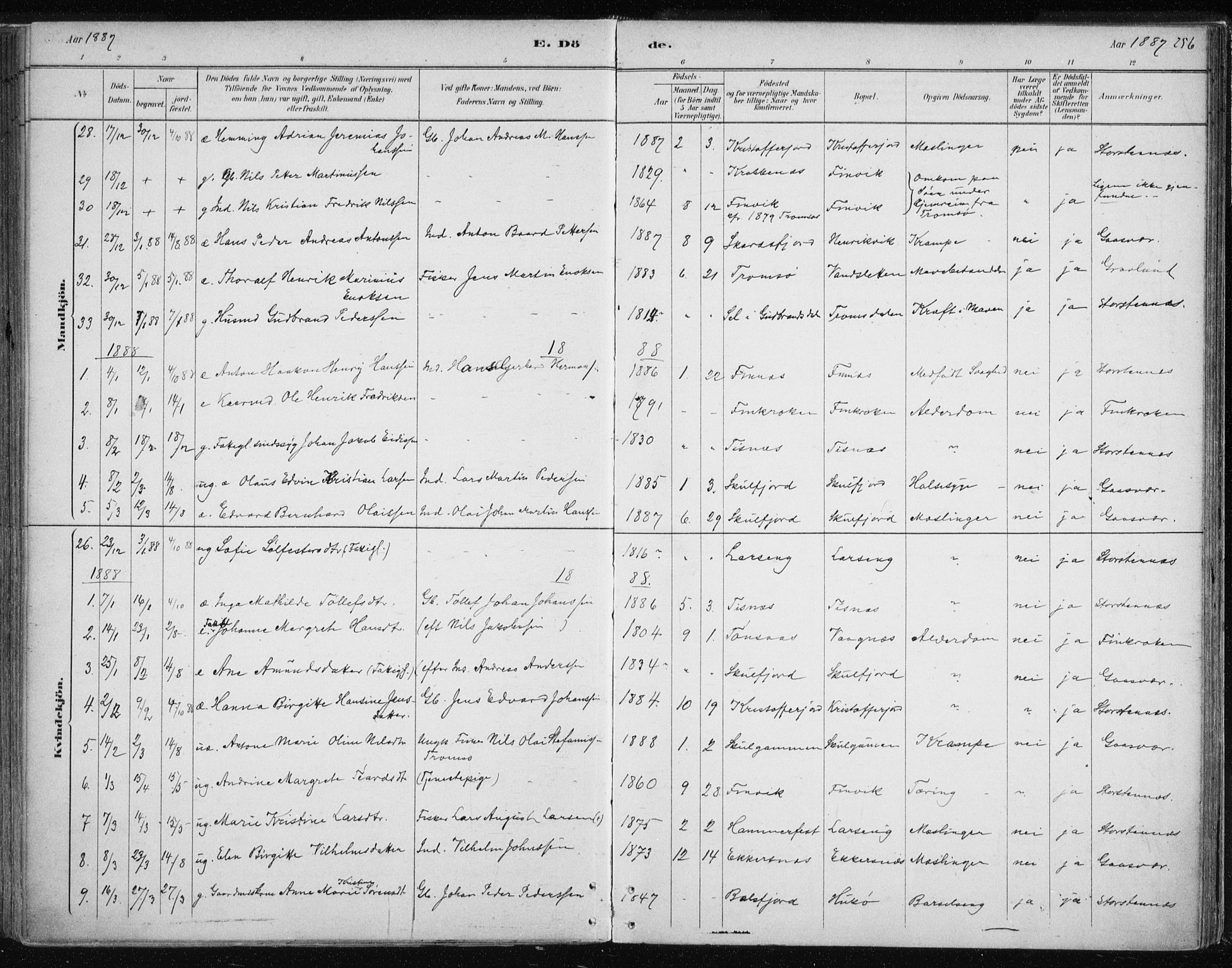 Tromsøysund sokneprestkontor, AV/SATØ-S-1304/G/Ga/L0004kirke: Parish register (official) no. 4, 1880-1888, p. 256