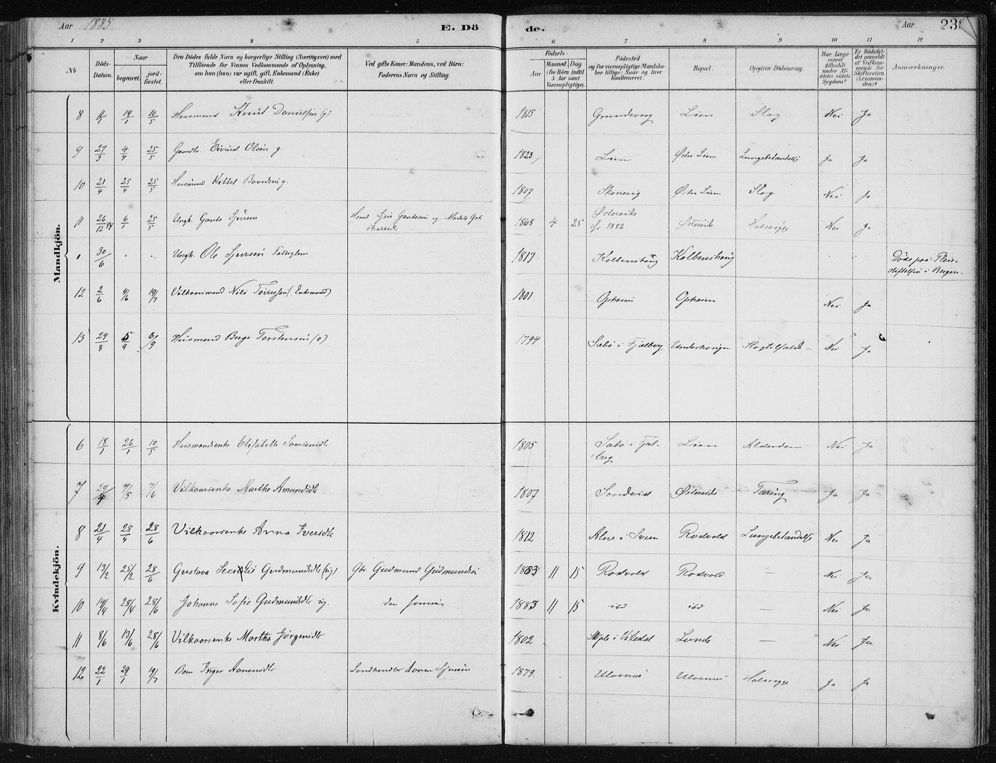 Fjelberg sokneprestembete, AV/SAB-A-75201/H/Haa: Parish register (official) no. D 1, 1879-1918, p. 238