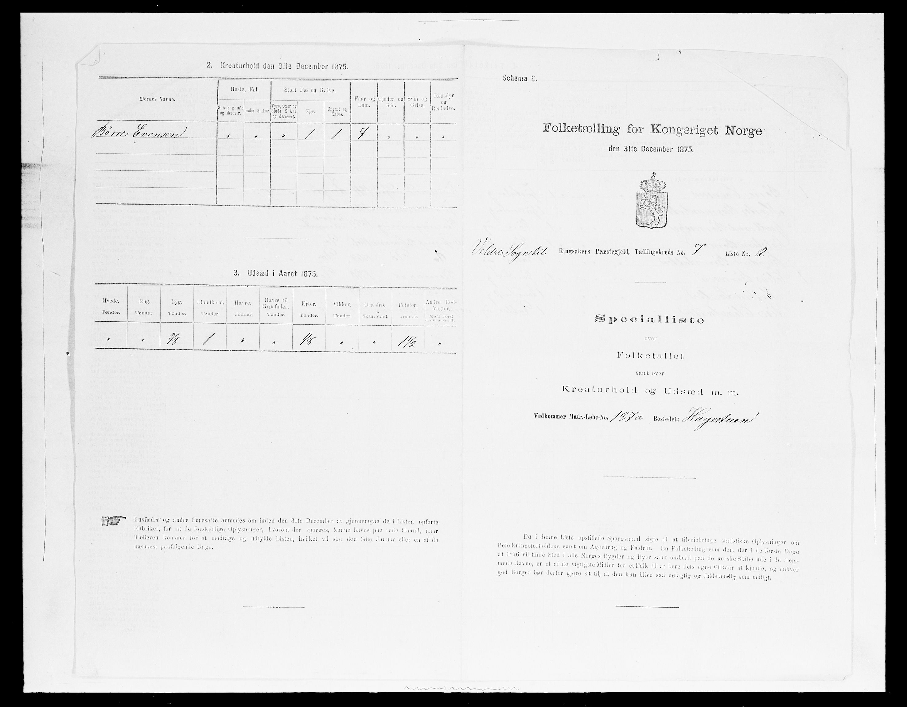 SAH, 1875 census for 0412P Ringsaker, 1875, p. 1406