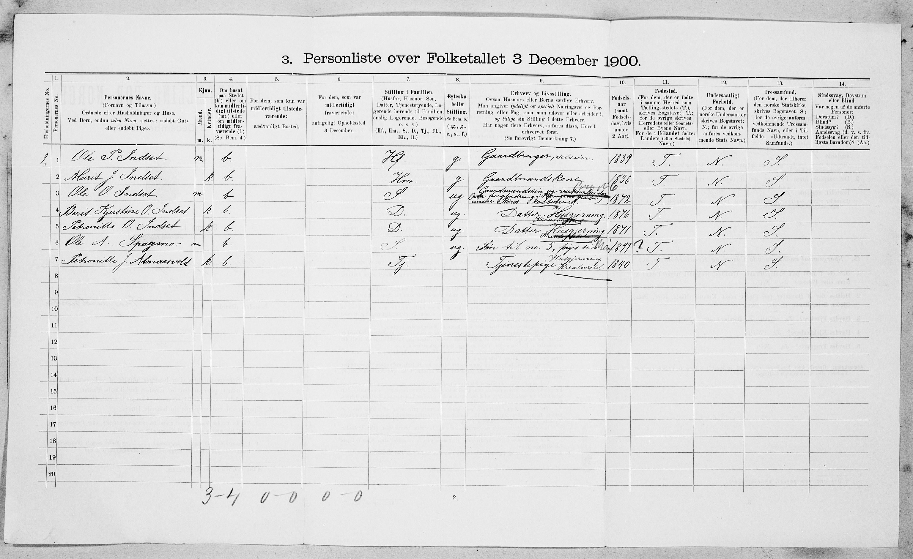 SAT, 1900 census for Røros, 1900, p. 873