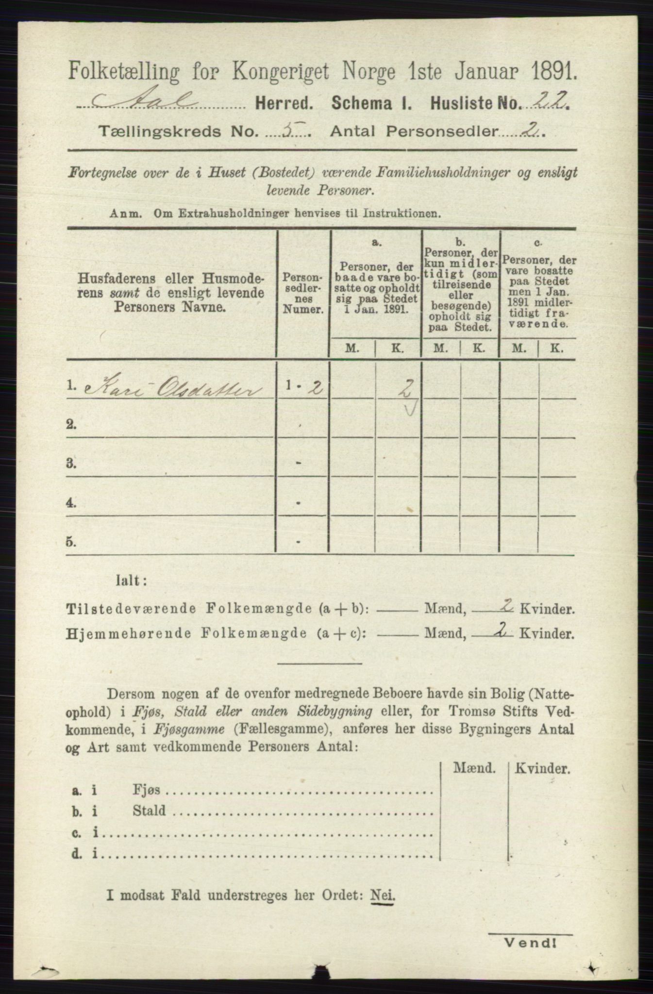 RA, 1891 census for 0619 Ål, 1891, p. 1357