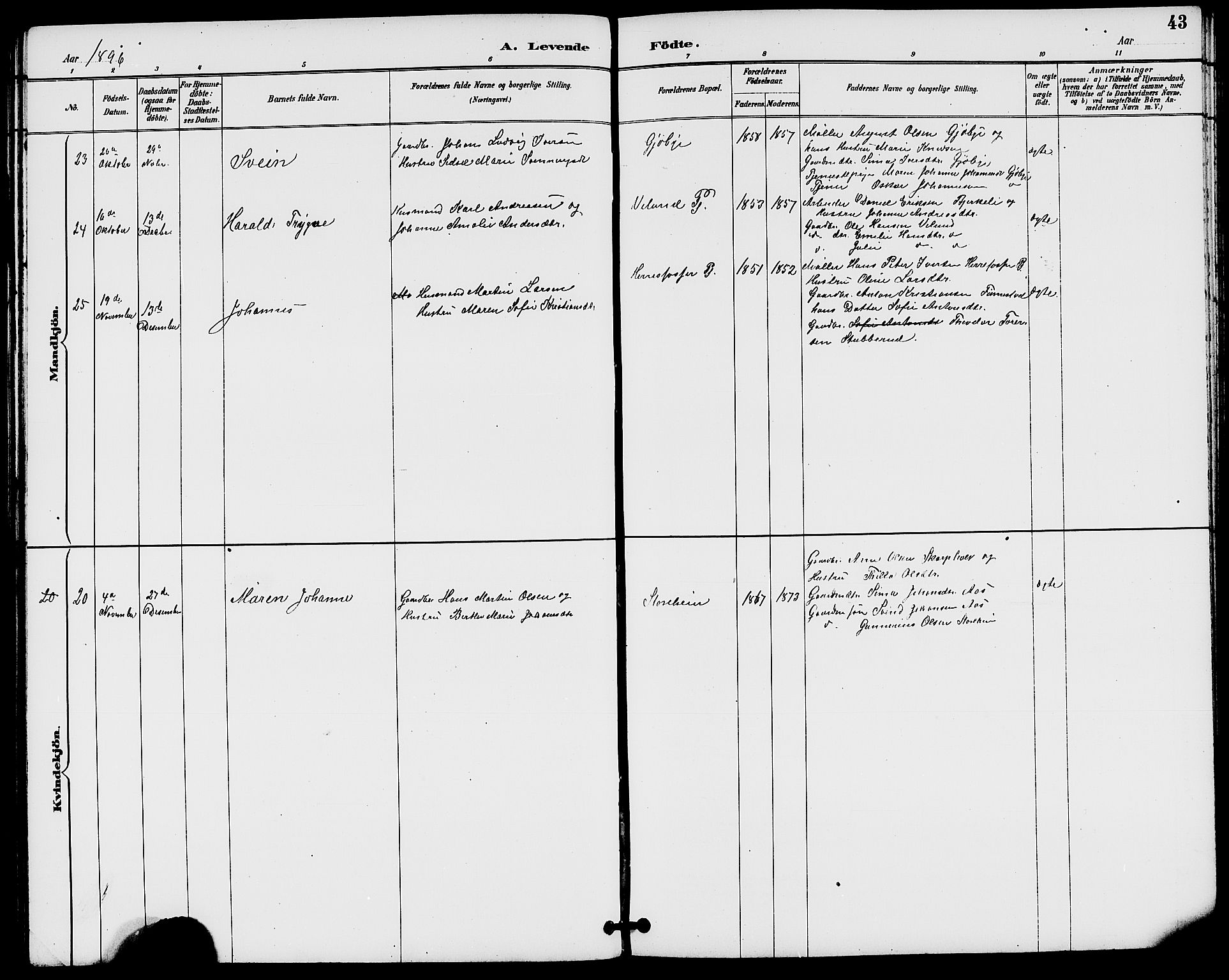 Rakkestad prestekontor Kirkebøker, AV/SAO-A-2008/G/Gb/L0001: Parish register (copy) no. II 1, 1887-1909, p. 43