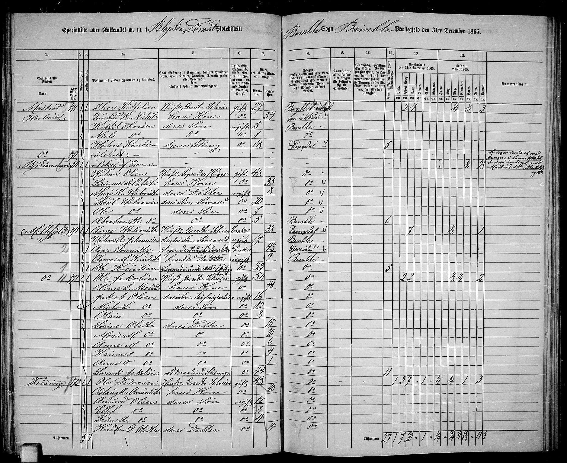 RA, 1865 census for Bamble, 1865, p. 100