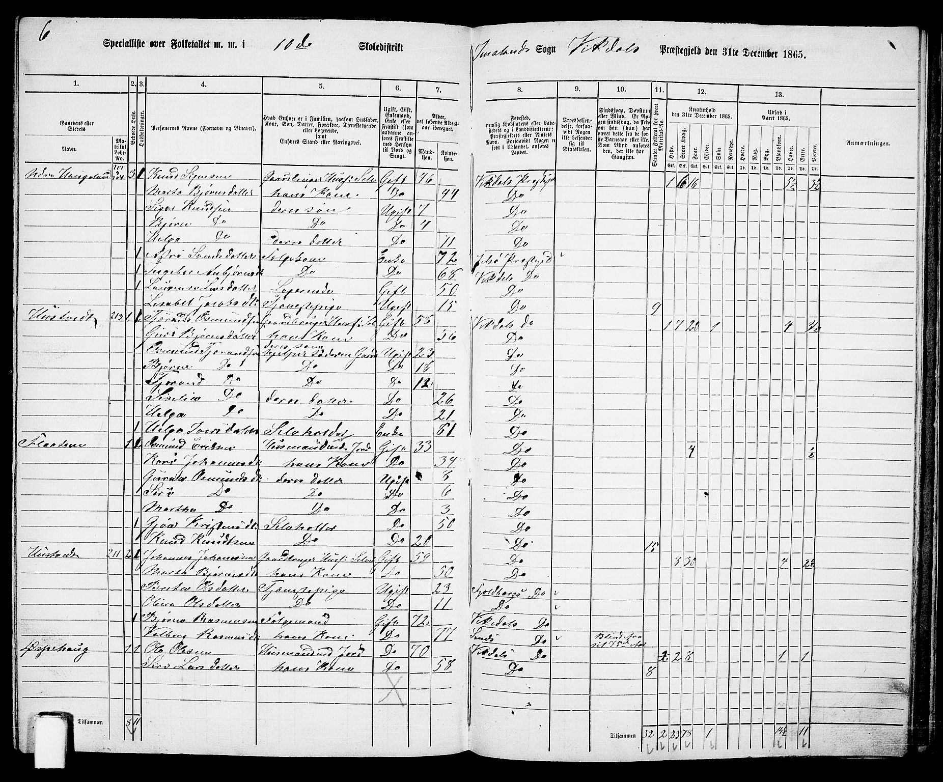 RA, 1865 census for Vikedal, 1865, p. 100