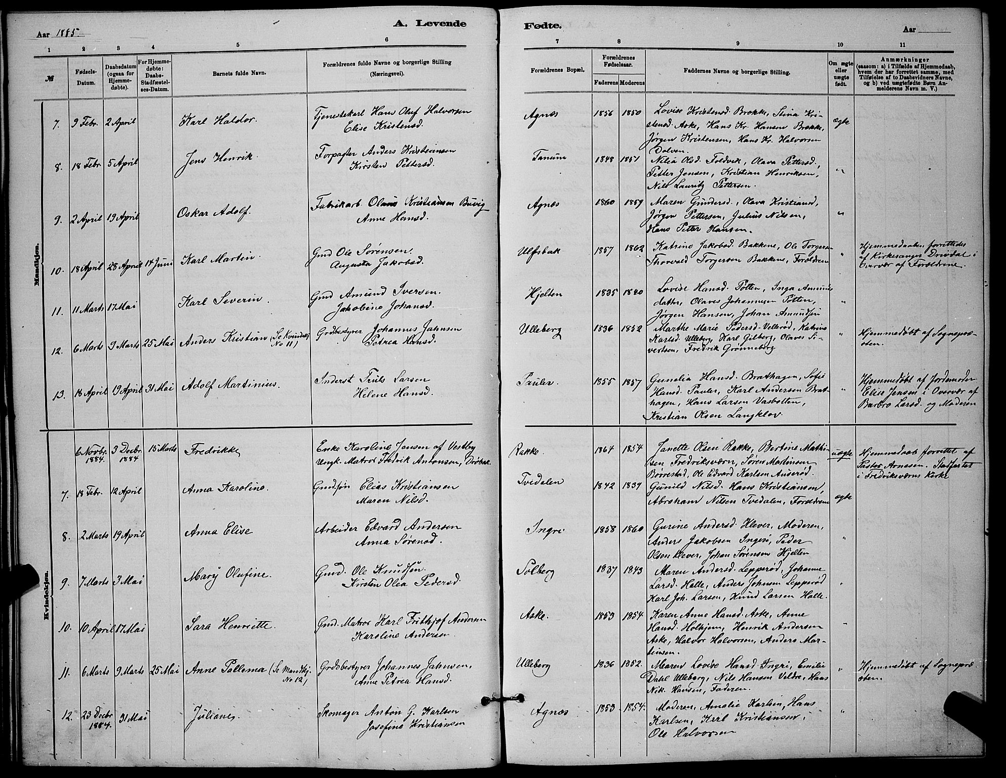 Brunlanes kirkebøker, AV/SAKO-A-342/G/Ga/L0003: Parish register (copy) no. I 3, 1877-1898