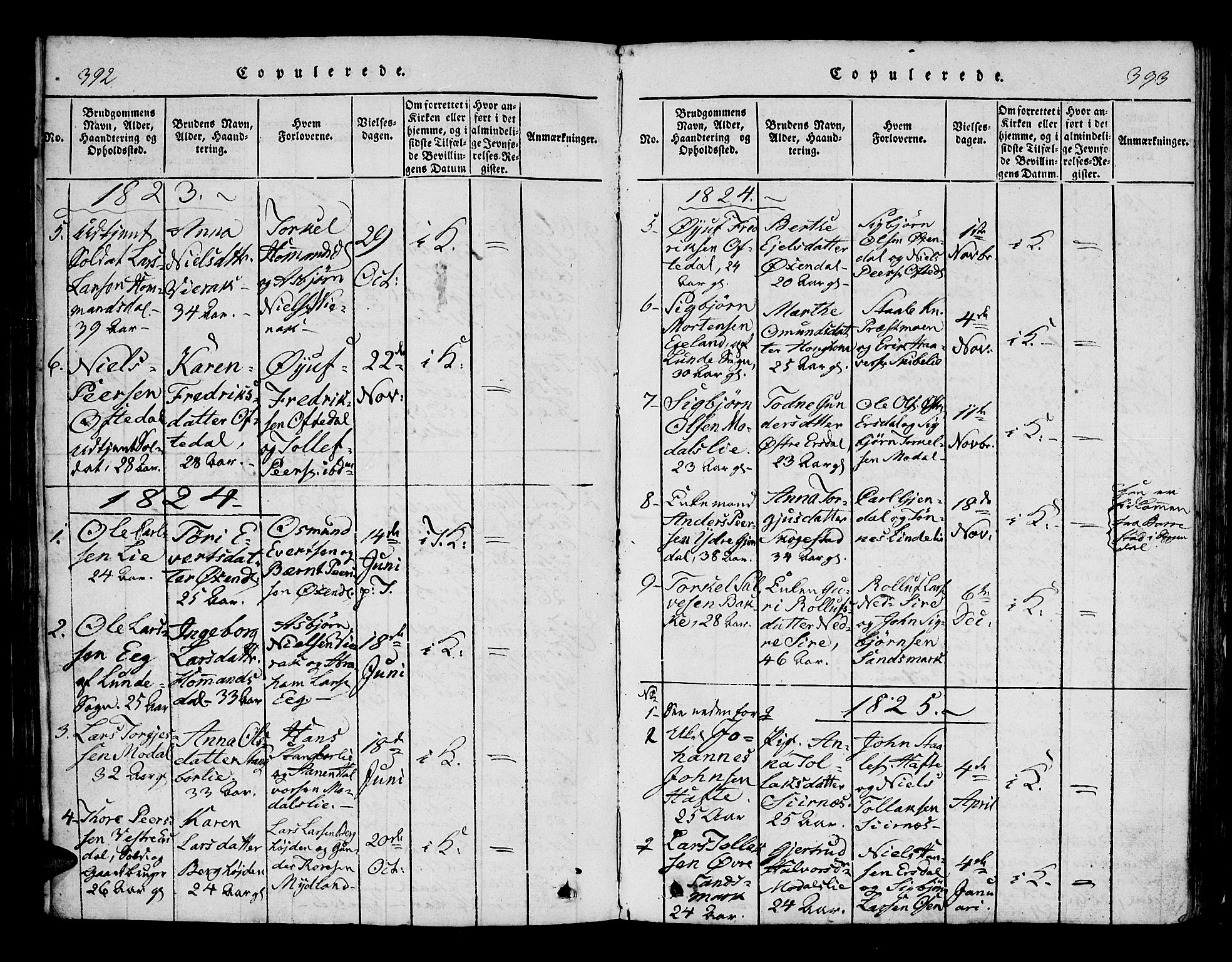 Bakke sokneprestkontor, SAK/1111-0002/F/Fa/Faa/L0003: Parish register (official) no. A 3, 1815-1835, p. 392-393