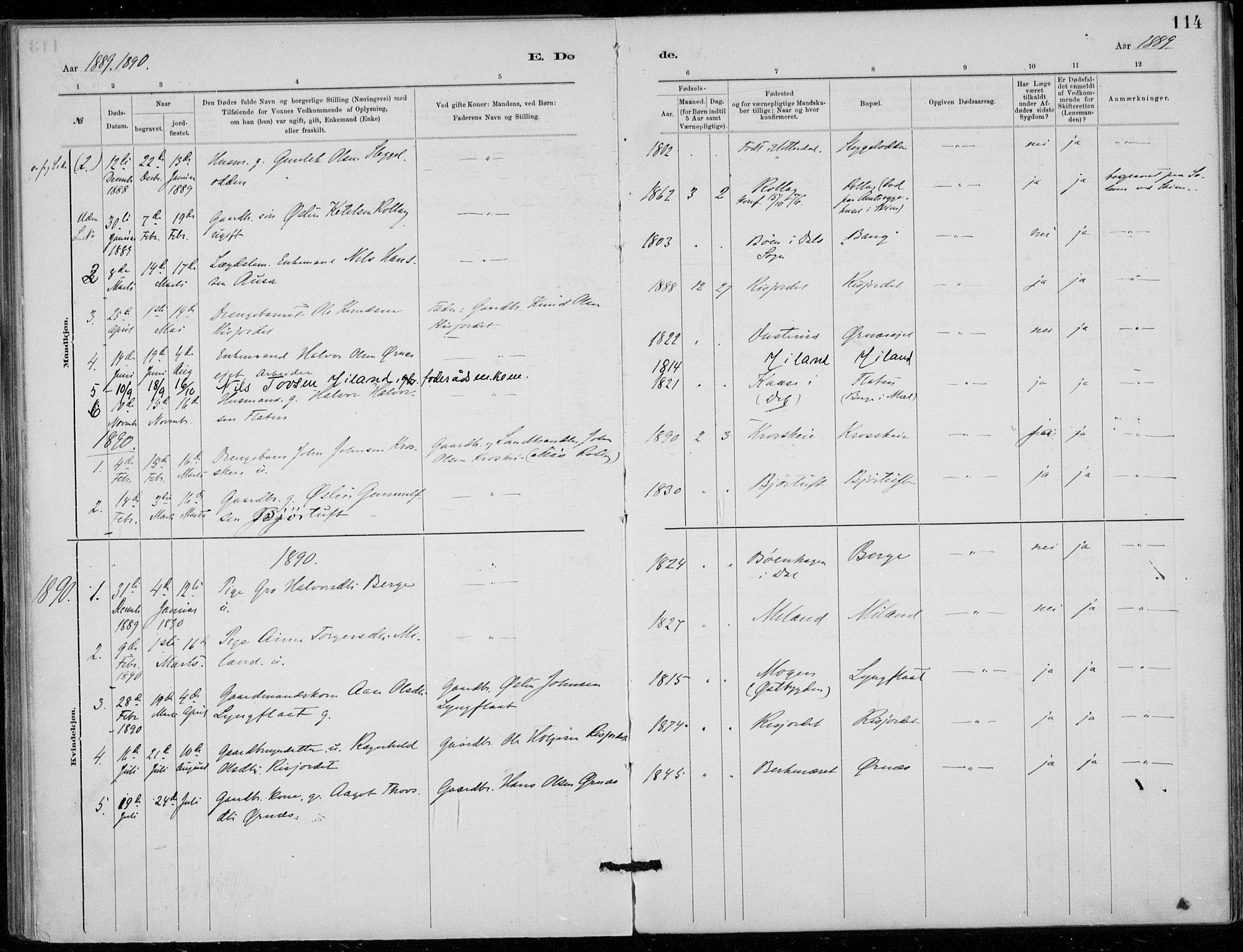 Tinn kirkebøker, SAKO/A-308/F/Fb/L0002: Parish register (official) no. II 2, 1878-1917, p. 114