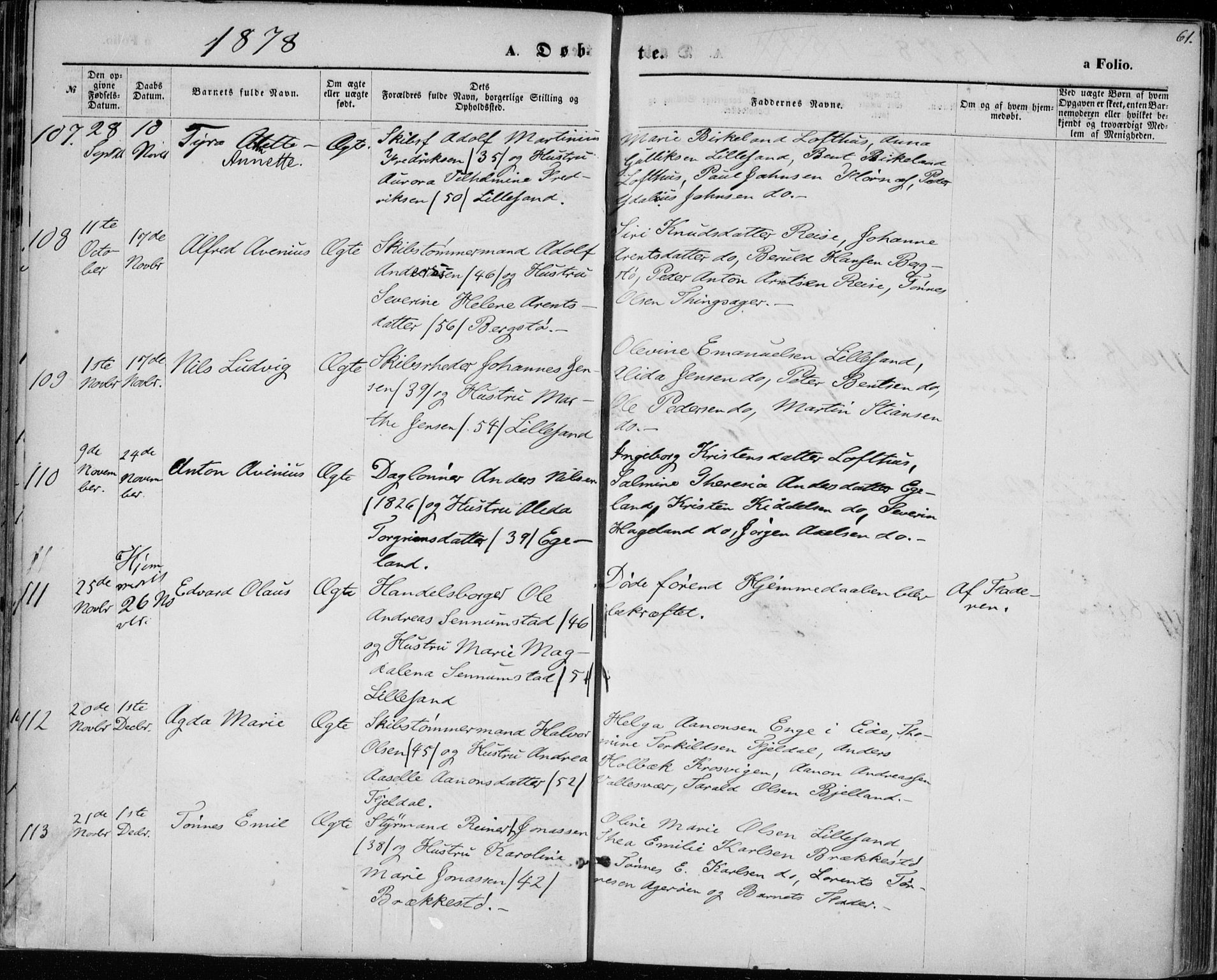 Vestre Moland sokneprestkontor, AV/SAK-1111-0046/F/Fa/Fab/L0008: Parish register (official) no. A 8, 1873-1883, p. 61