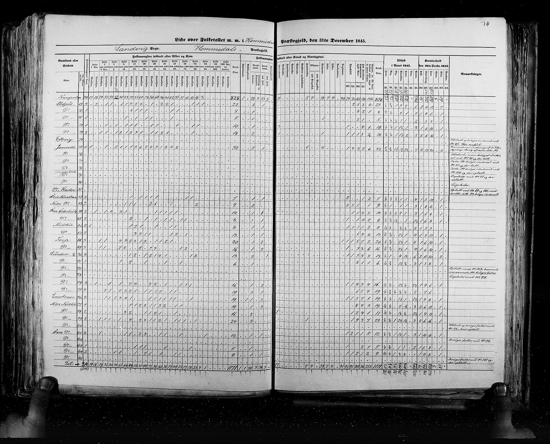 RA, Census 1845, vol. 5: Bratsberg amt og Nedenes og Råbyggelaget amt, 1845, p. 311