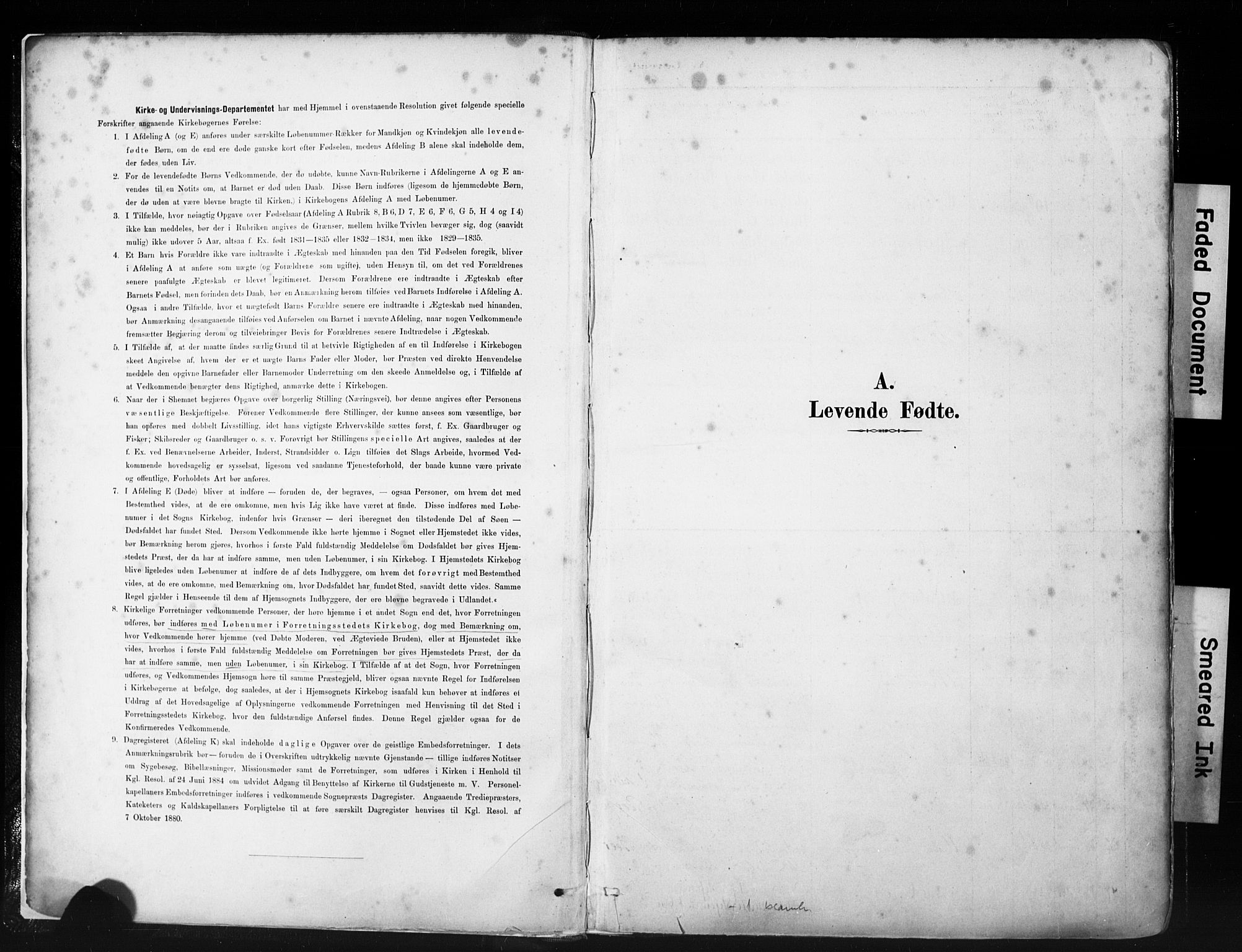St. Petri sokneprestkontor, AV/SAST-A-101813/001/30/30BA/L0019: Parish register (official) no. A 20, 1888-1901