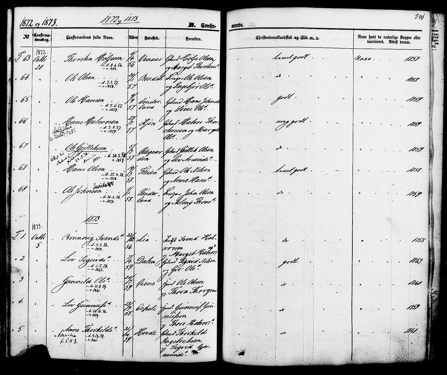 Hjartdal kirkebøker, SAKO/A-270/F/Fa/L0009: Parish register (official) no. I 9, 1860-1879, p. 246
