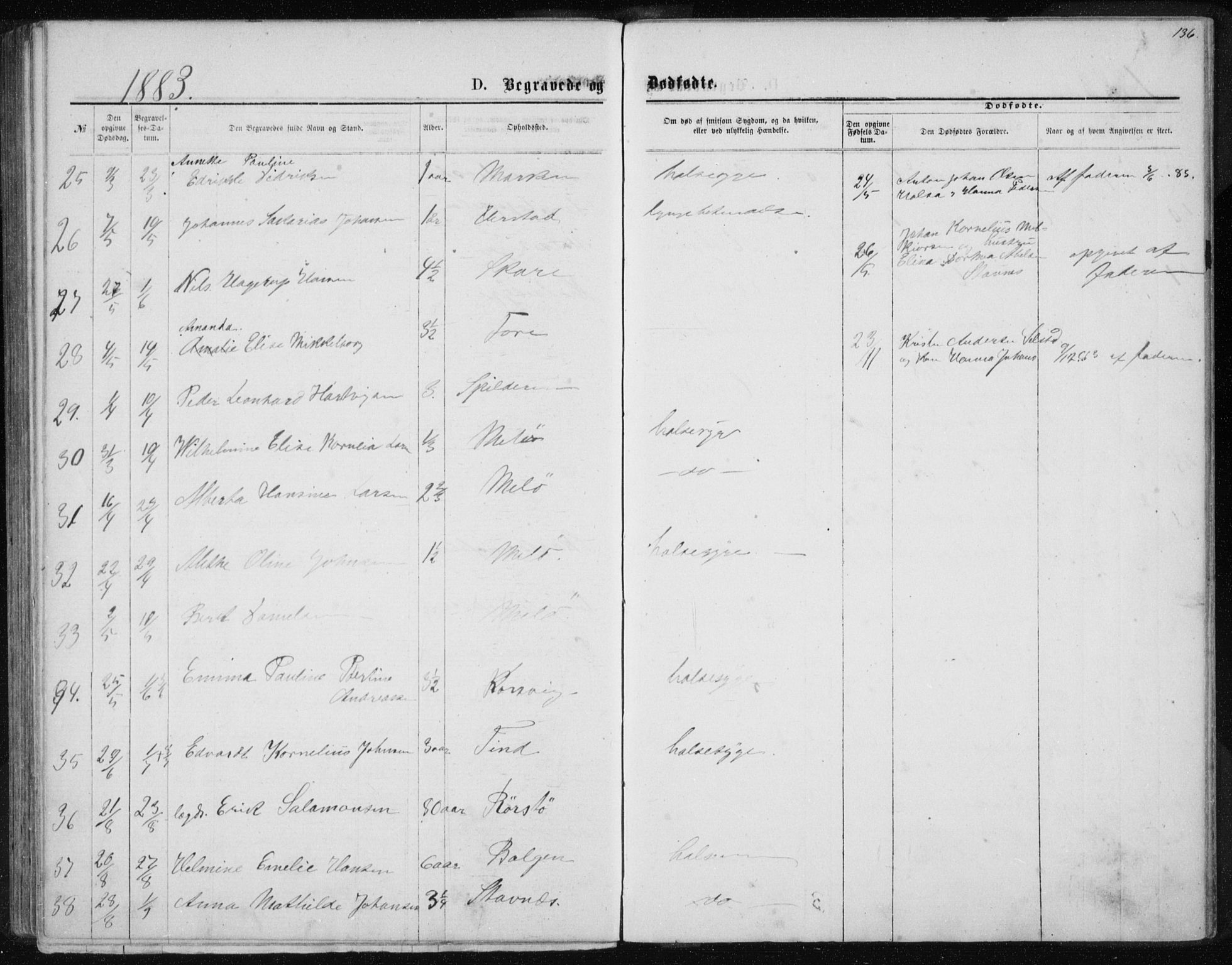 Ministerialprotokoller, klokkerbøker og fødselsregistre - Nordland, AV/SAT-A-1459/843/L0635: Parish register (copy) no. 843C04, 1872-1887, p. 136