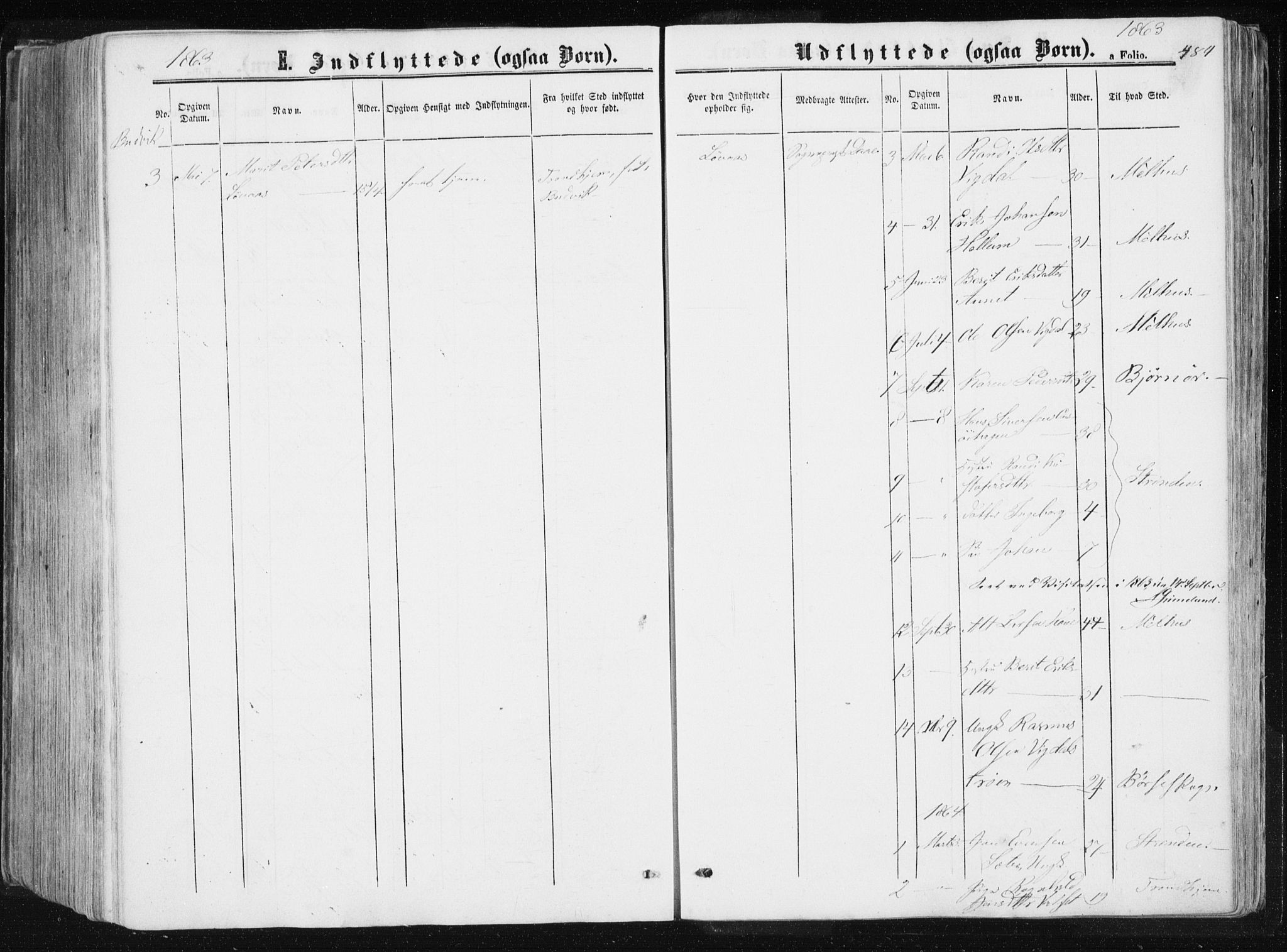 Ministerialprotokoller, klokkerbøker og fødselsregistre - Sør-Trøndelag, AV/SAT-A-1456/612/L0377: Parish register (official) no. 612A09, 1859-1877, p. 484